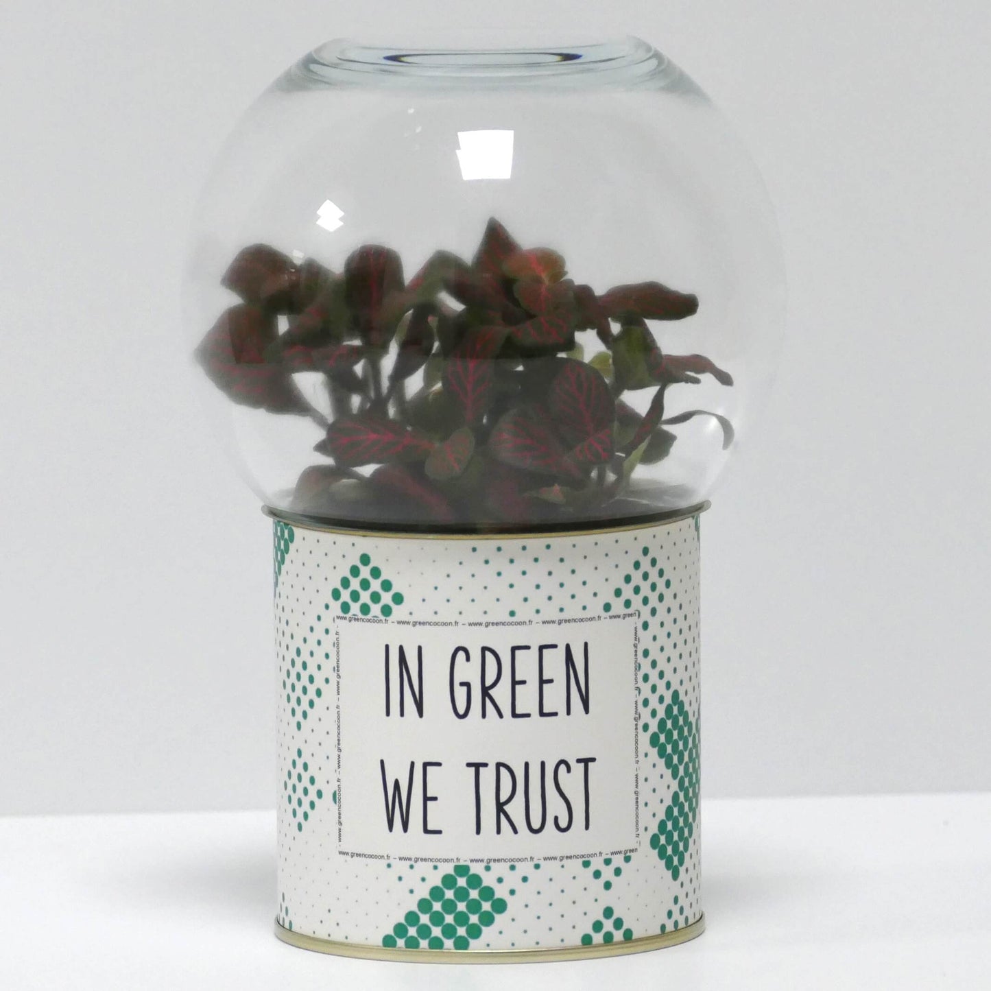 Terrarium In green we trust