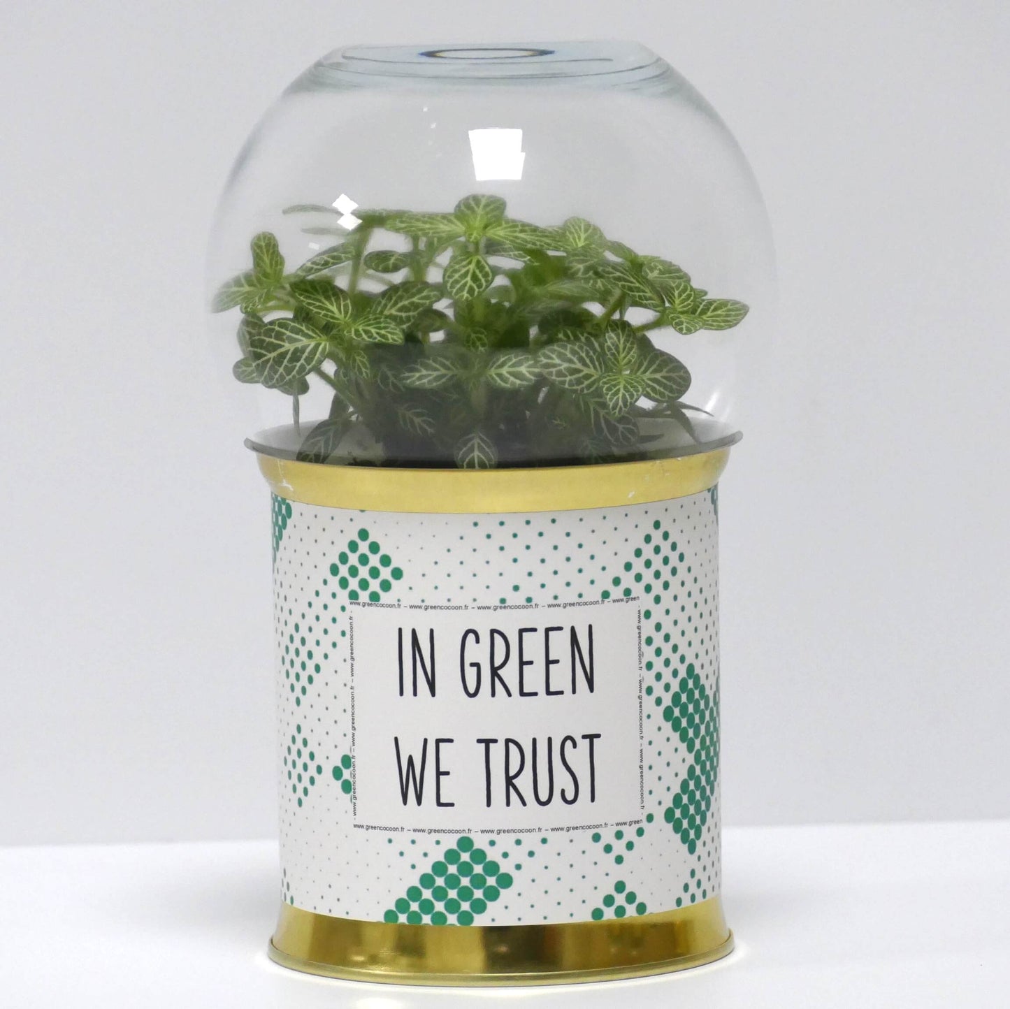Terrarium In green we trust