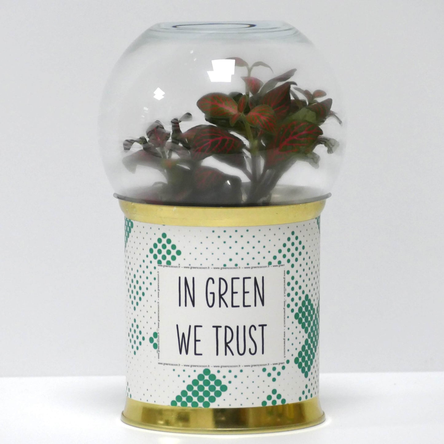 Terrarium In green we trust