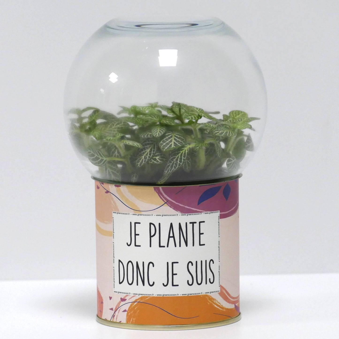 Terrarium Je plante donc je suis