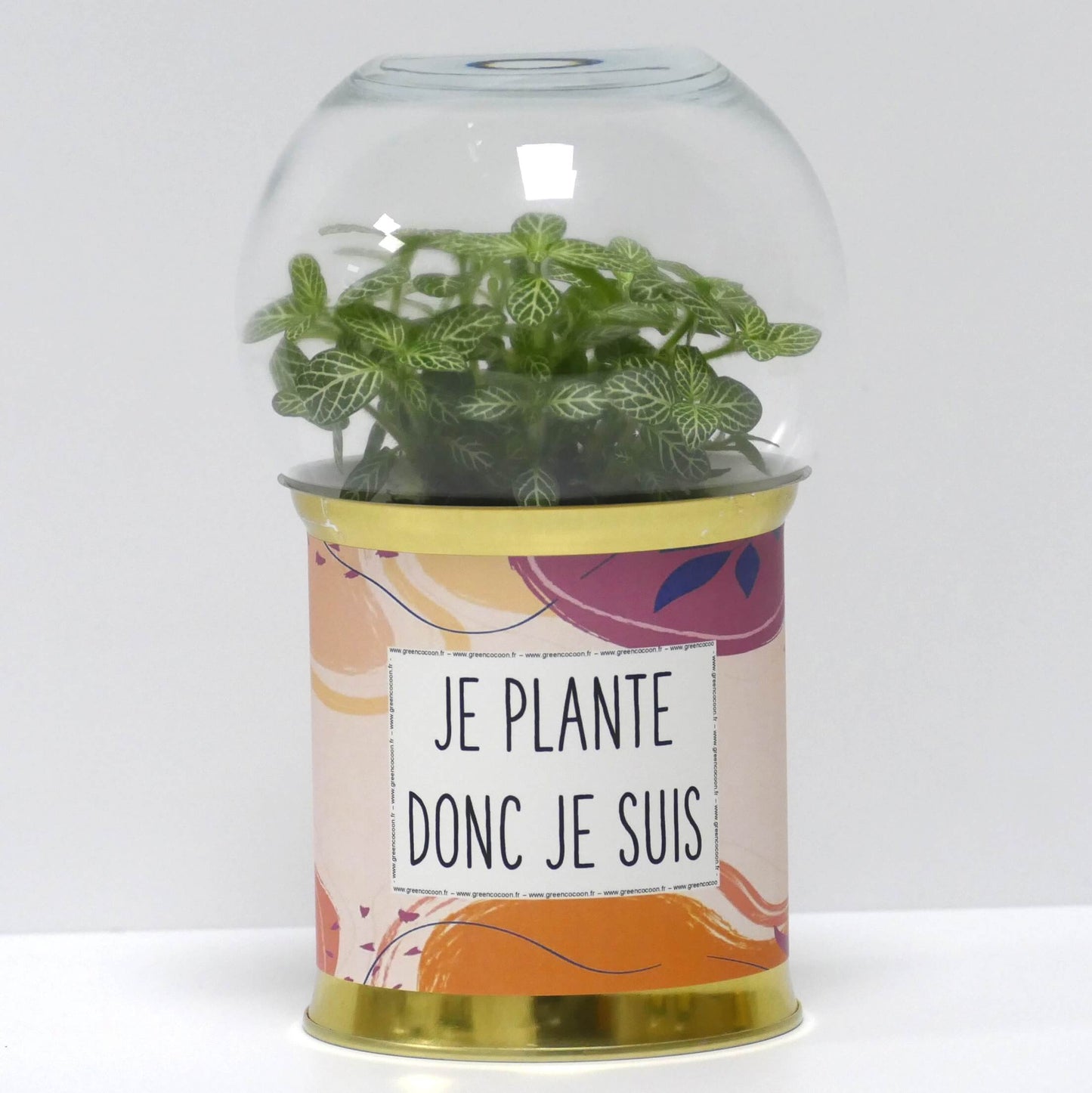 Terrarium Je plante donc je suis