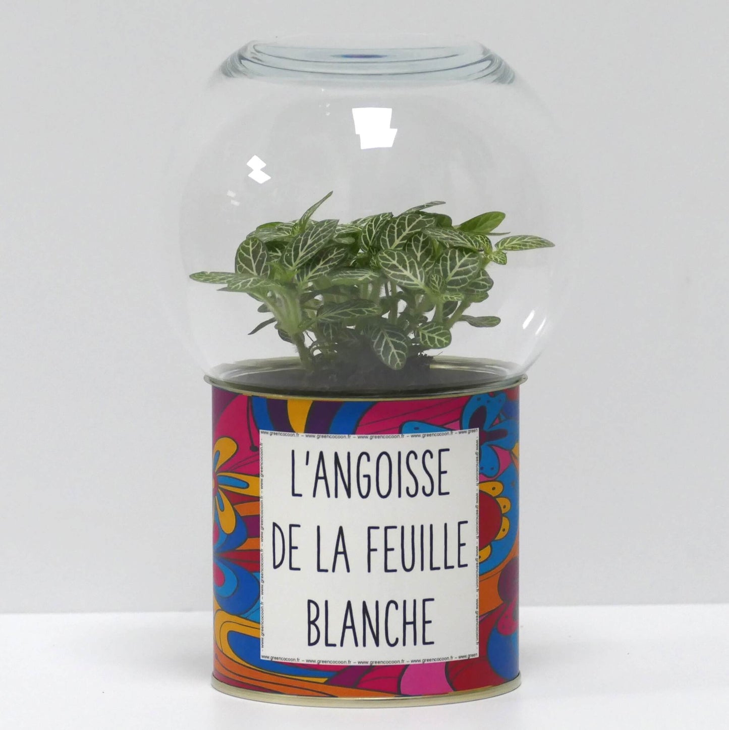 Terrarium L'angoisse de la feuille blanche