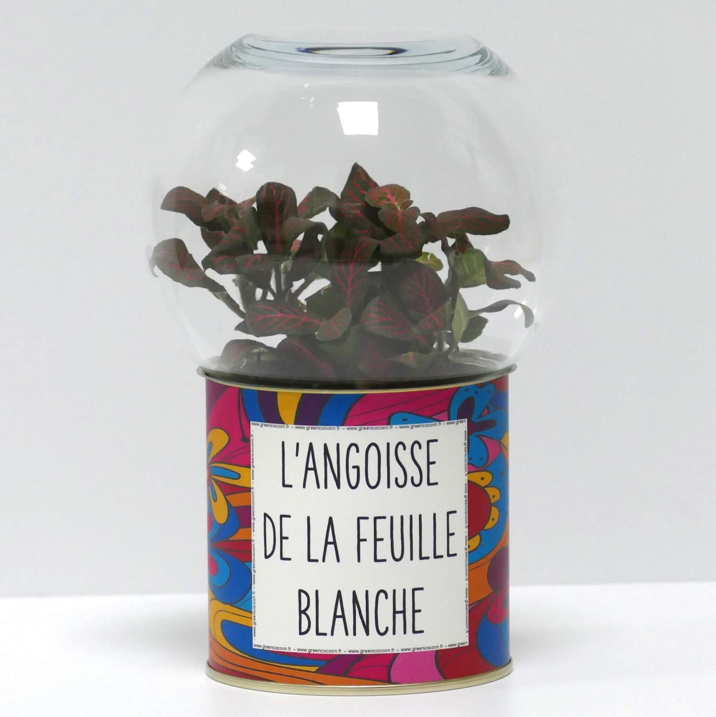 Terrarium L'angoisse de la feuille blanche