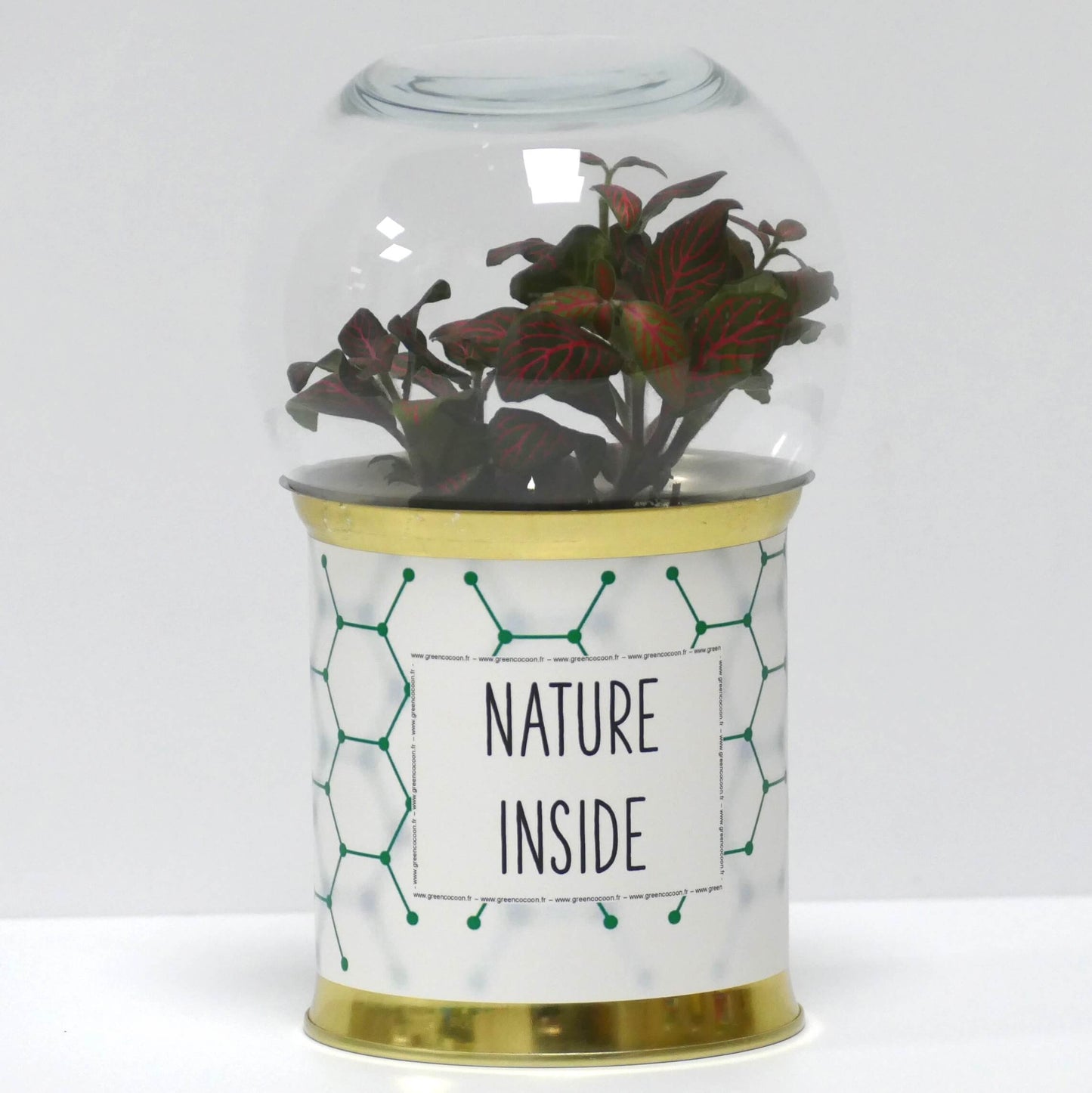 Terrarium Nature inside