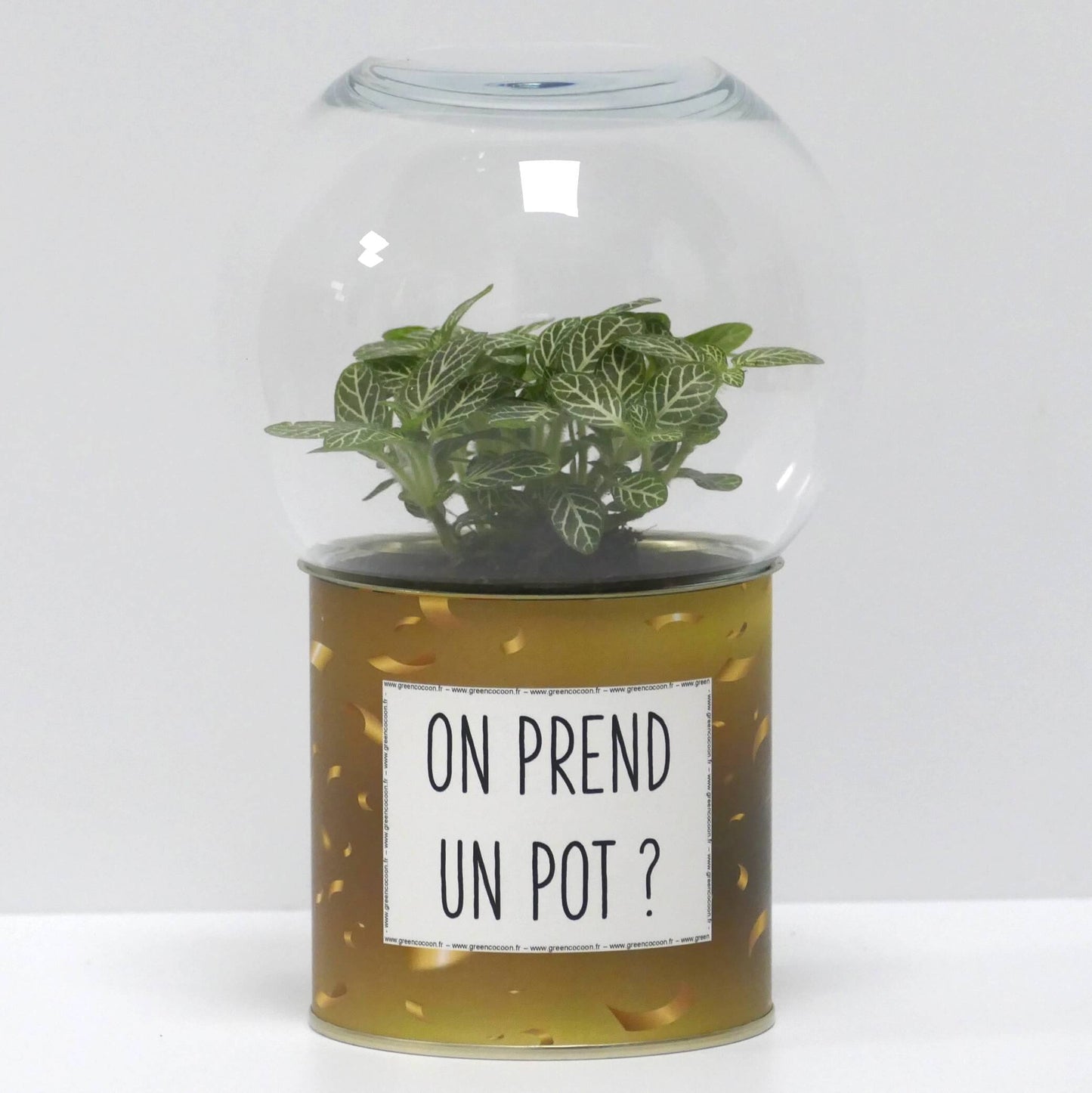 Terrarium On prend un pot ?