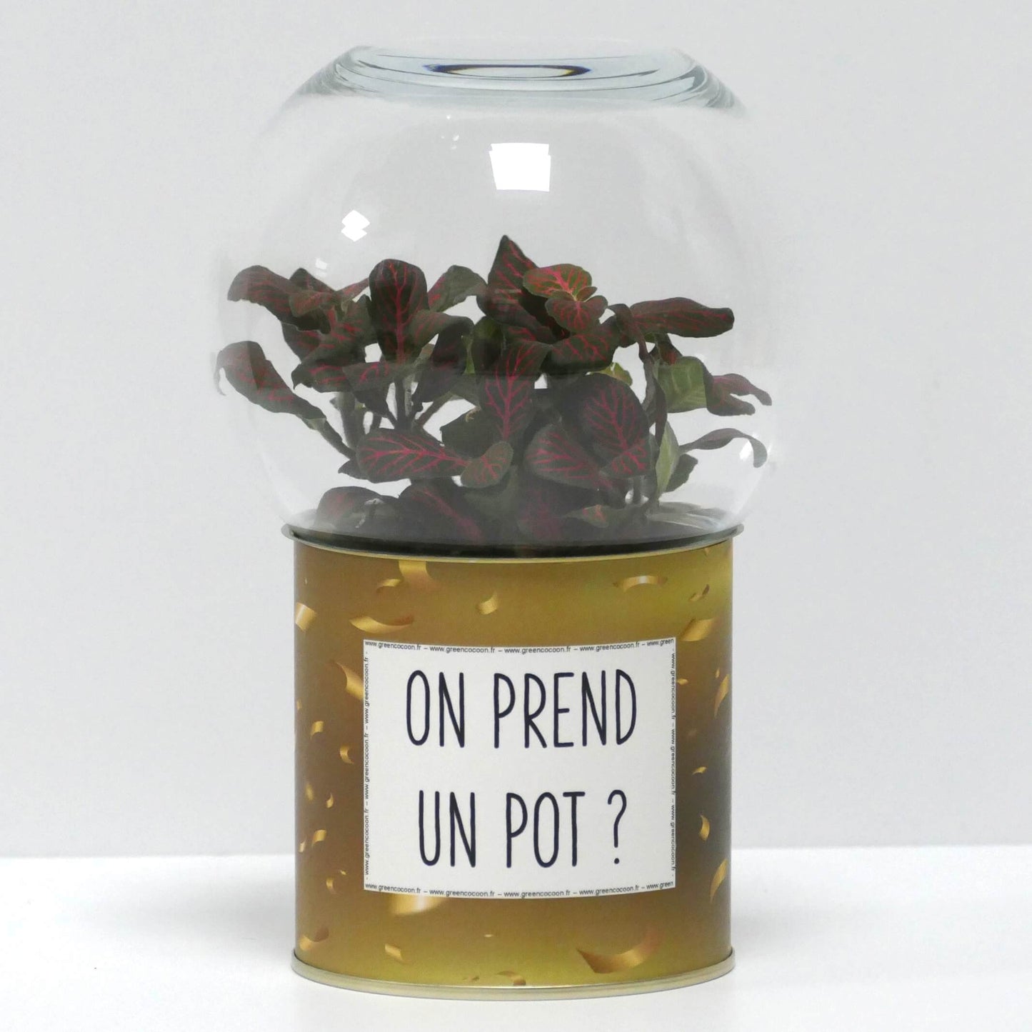 Terrarium On prend un pot ?