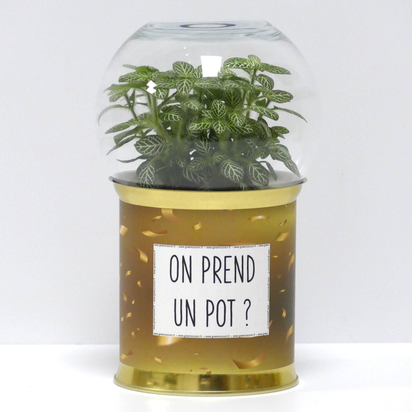 Terrarium On prend un pot ?