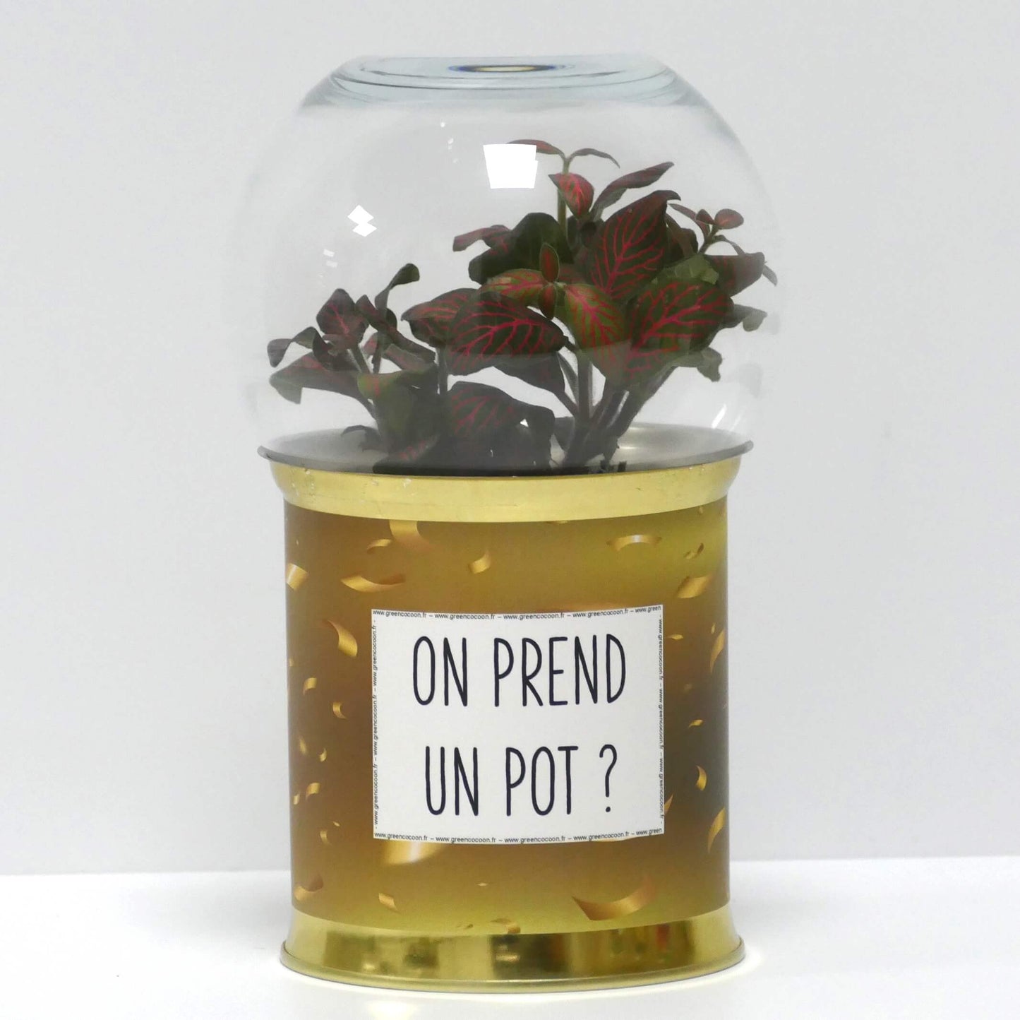Terrarium On prend un pot ?