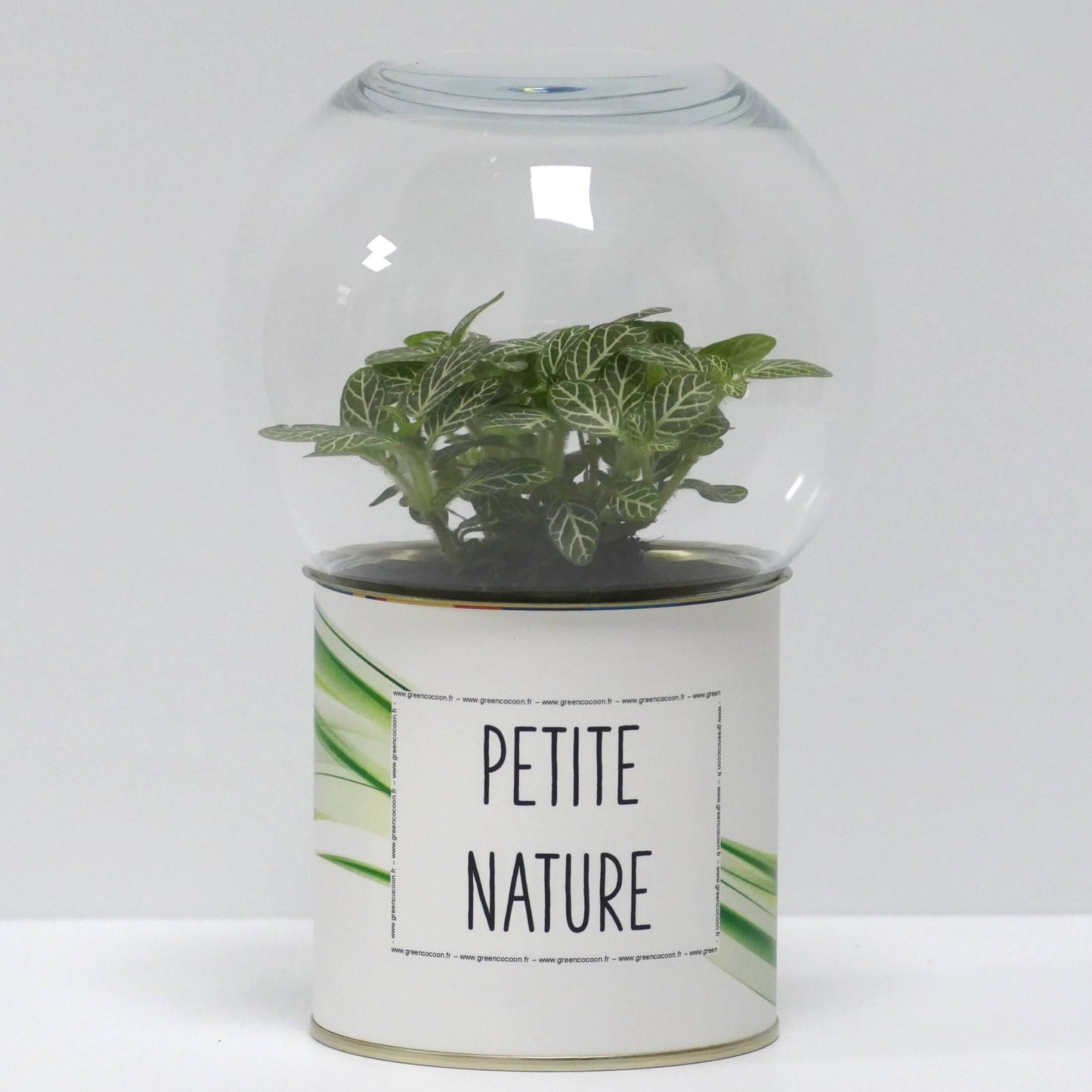 Terrarium Petite nature