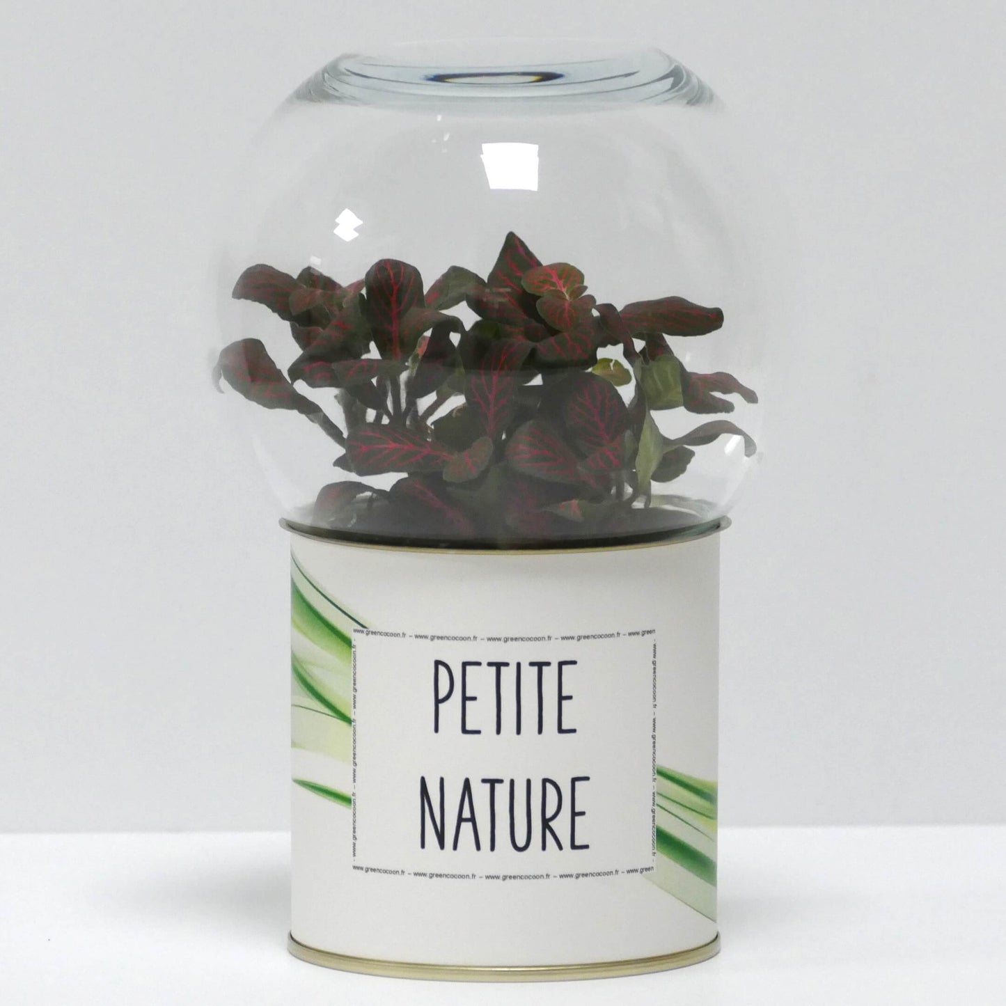 Terrarium Petite nature