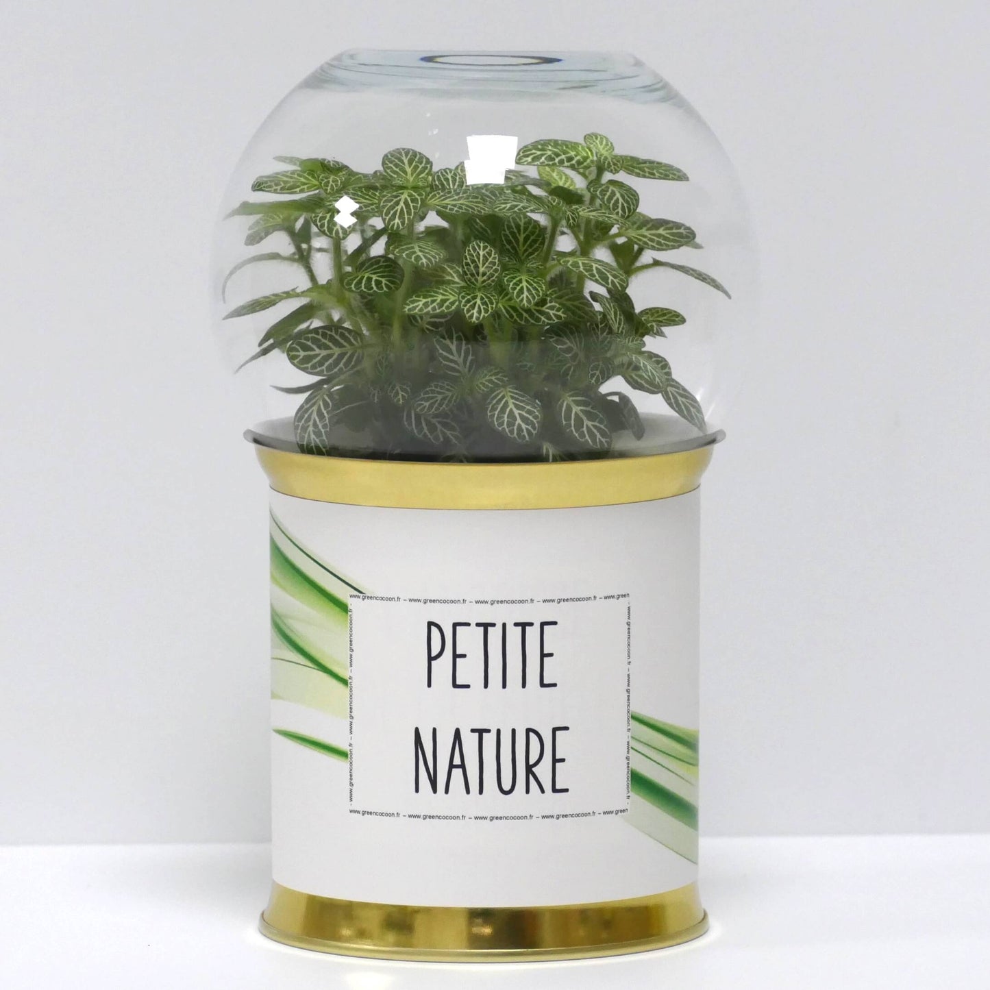 Terrarium Petite nature