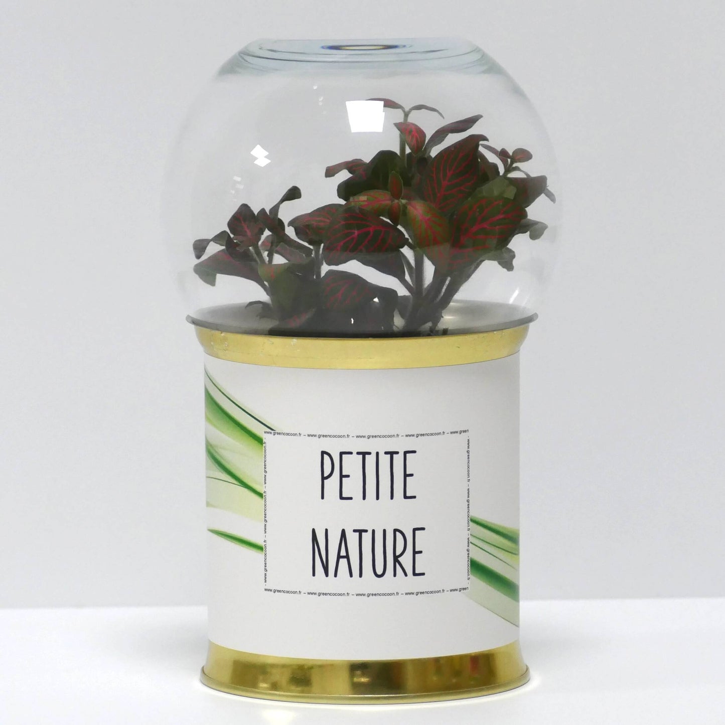 Terrarium Petite nature