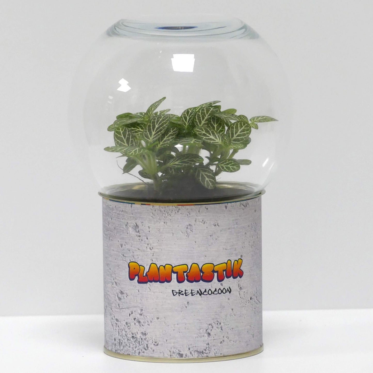 Terrarium Plantastik