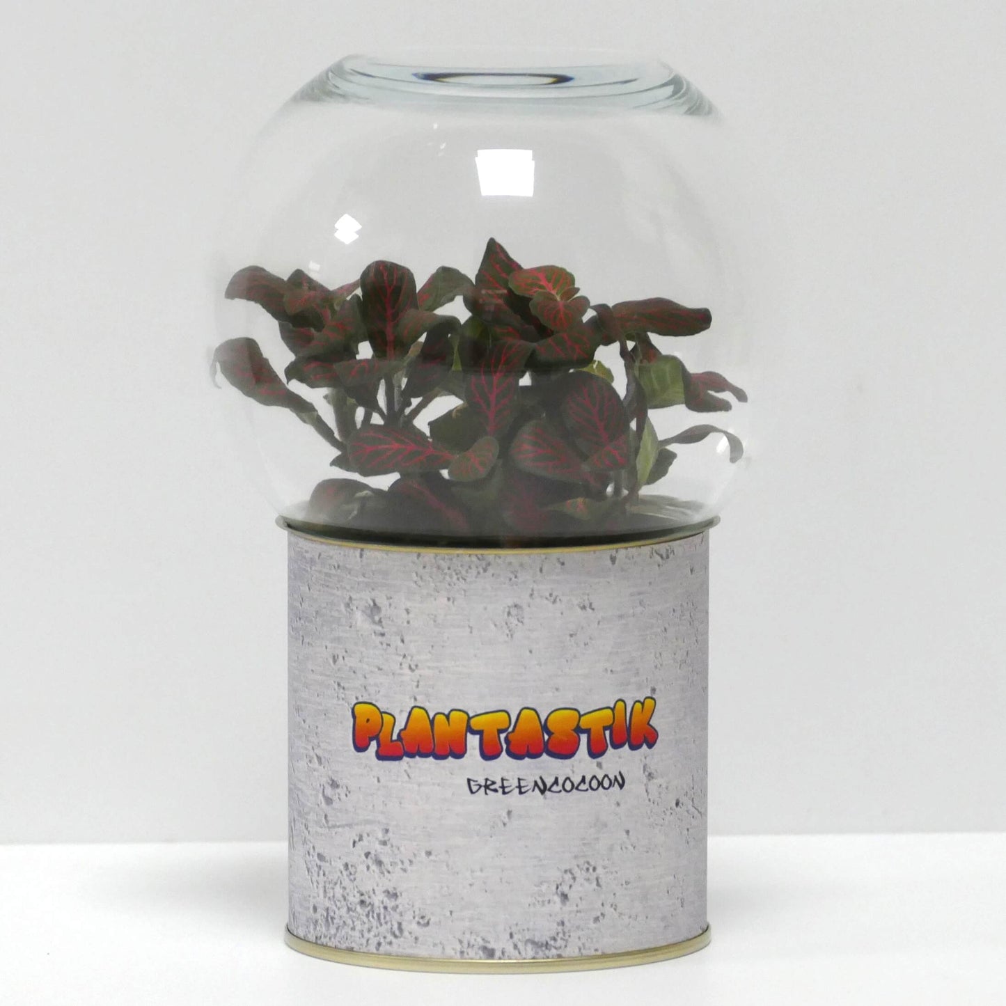 Terrarium Plantastik