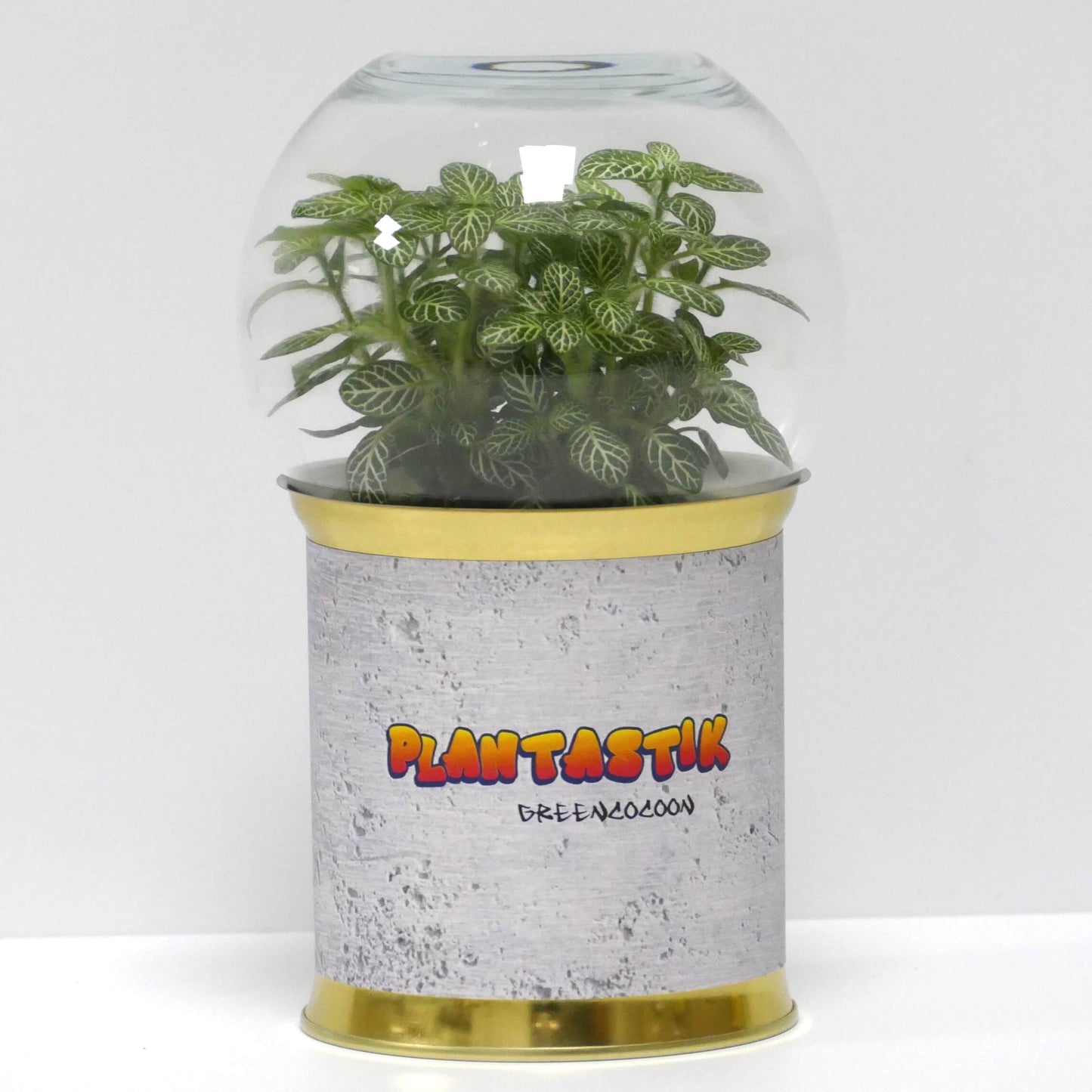 Terrarium Plantastik