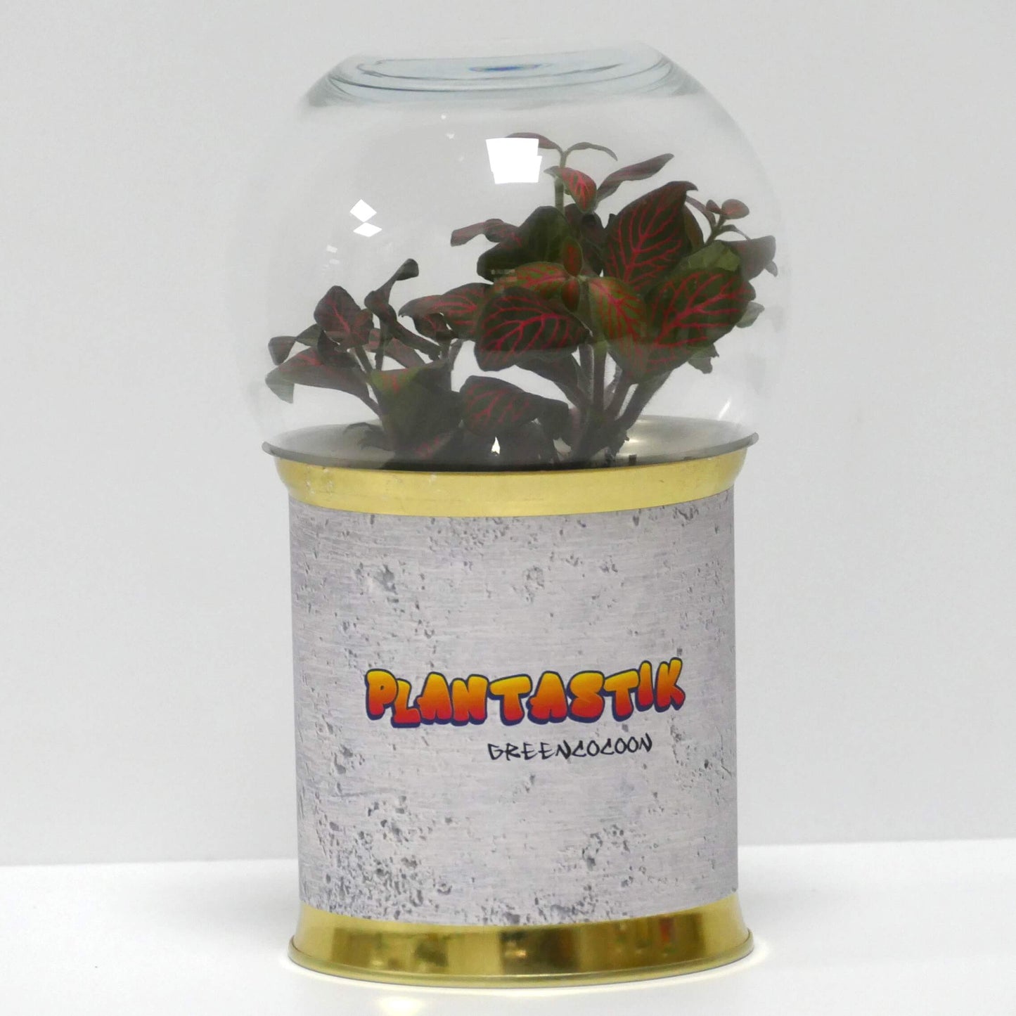Terrarium Plantastik