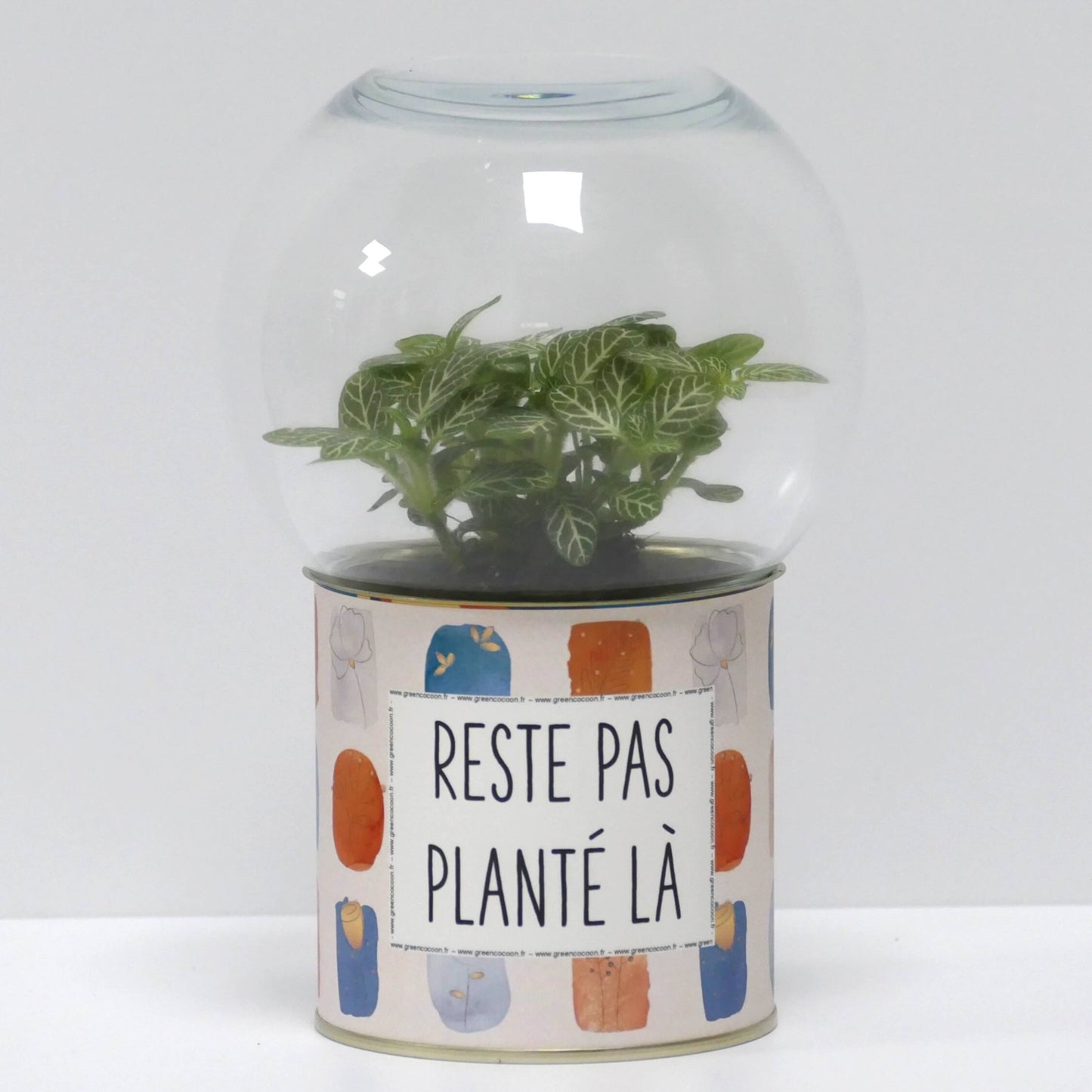 Terrarium Reste pas planté là