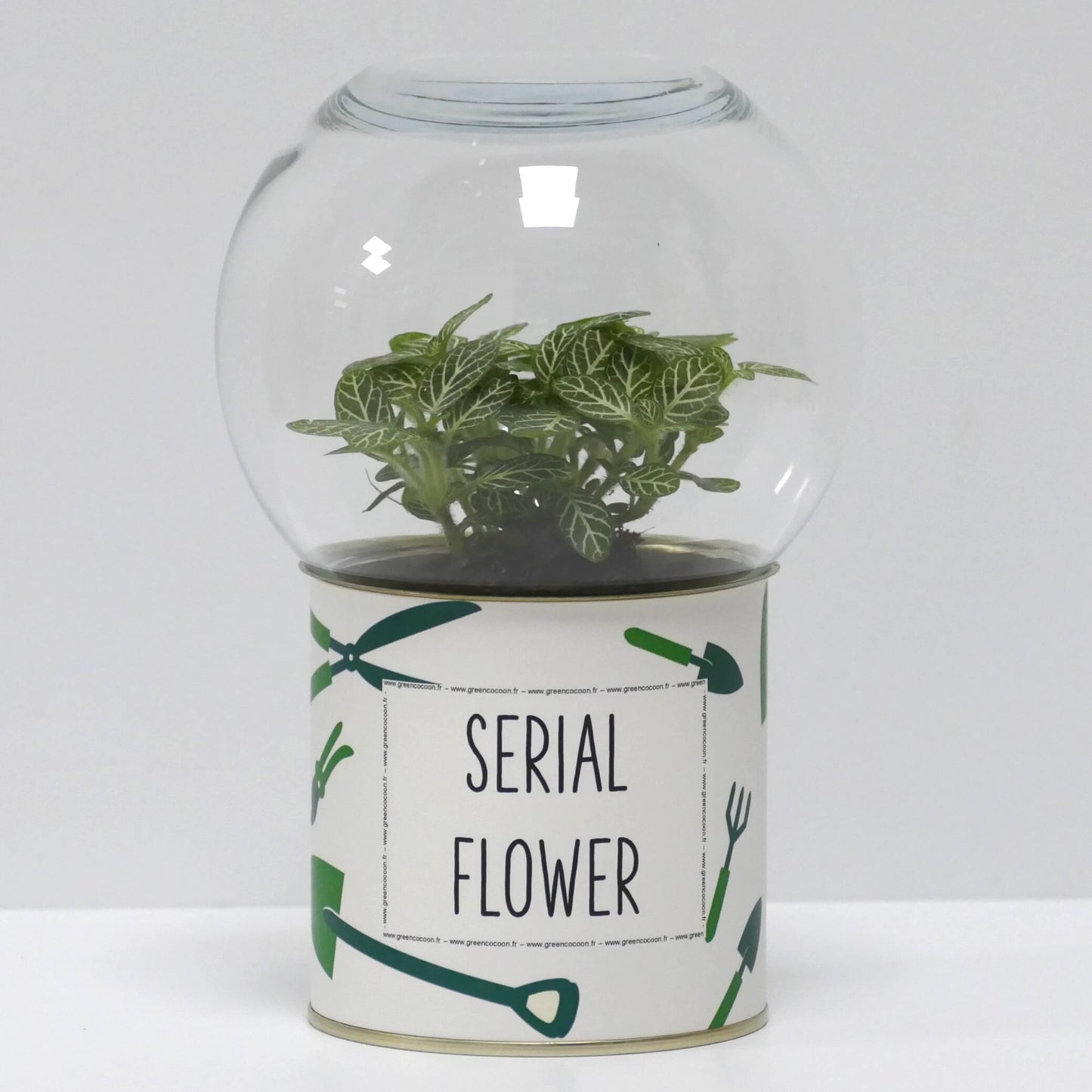 Terrarium Serial flower