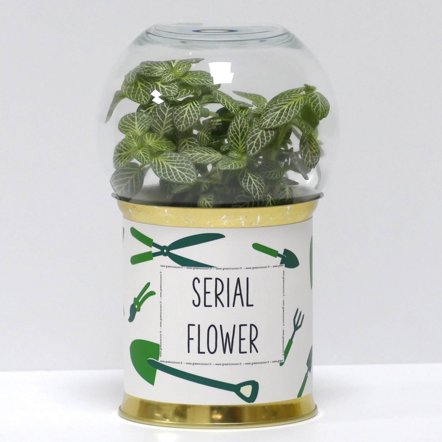 Terrarium Serial flower
