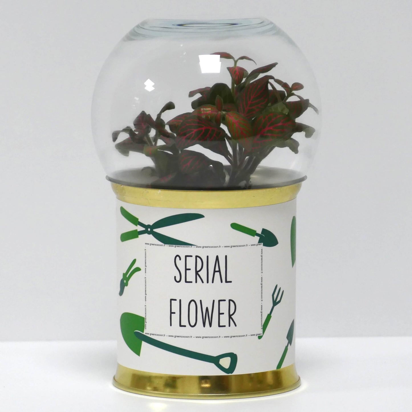 Terrarium Serial flower