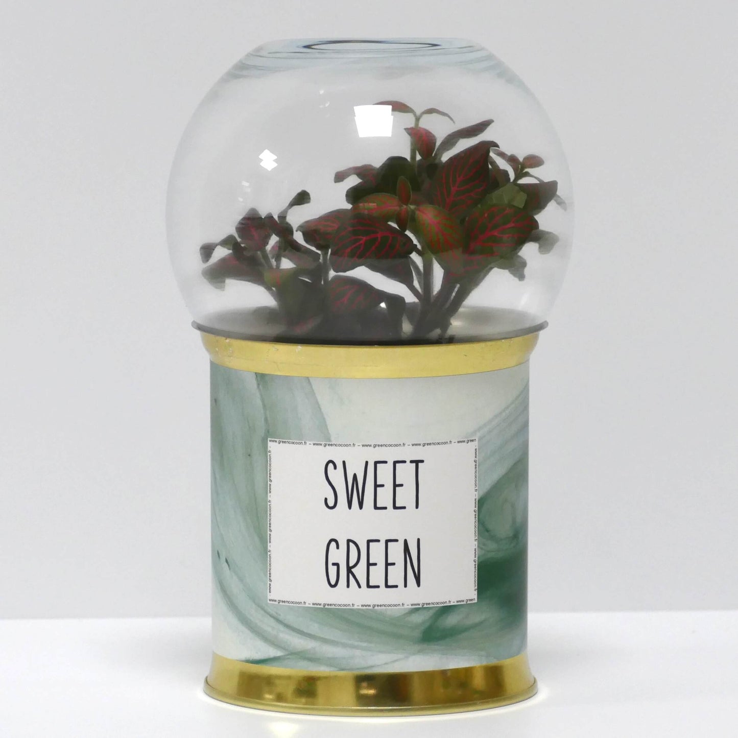 Terrarium Sweet green