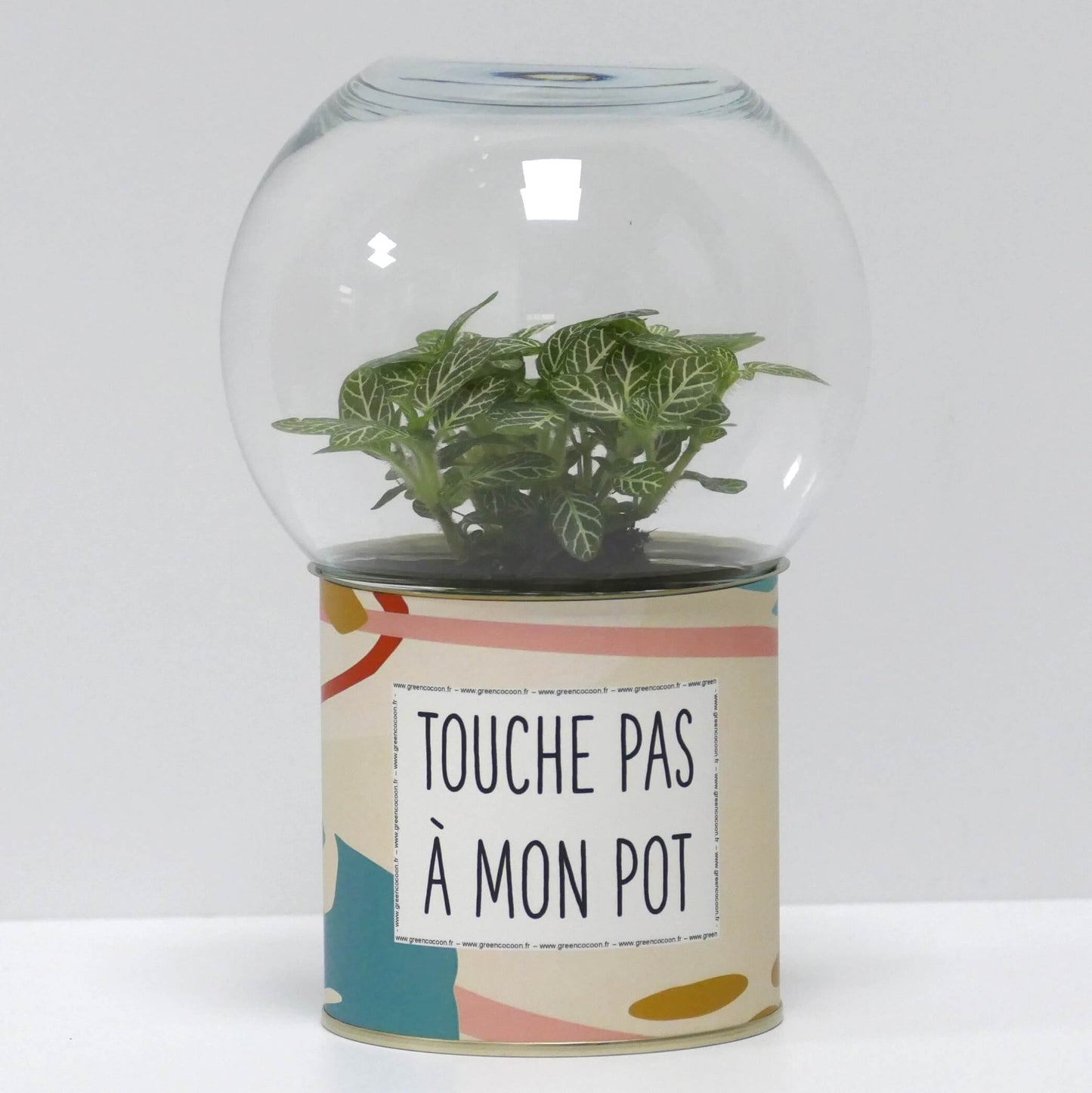 Terrarium Touche pas à mon pot