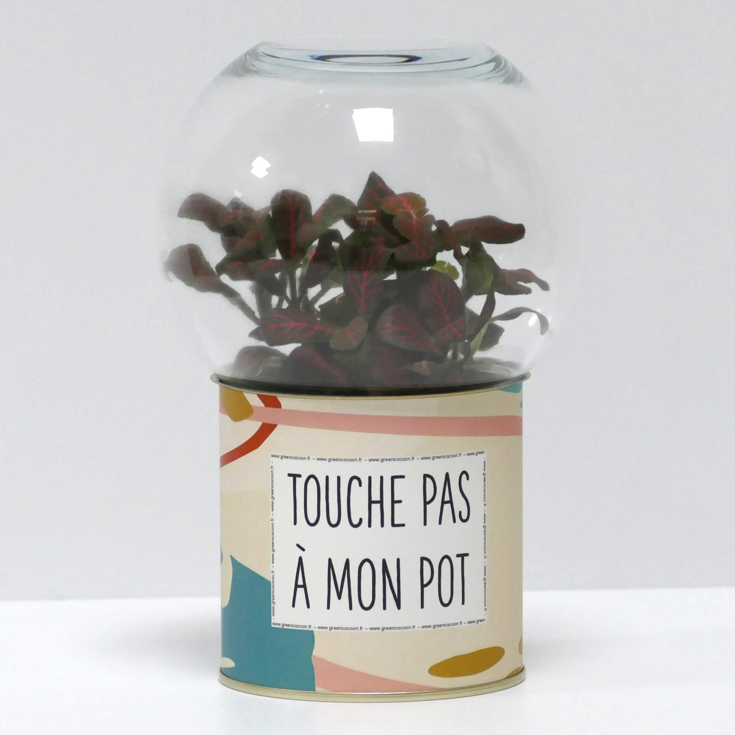 Terrarium Touche pas à mon pot
