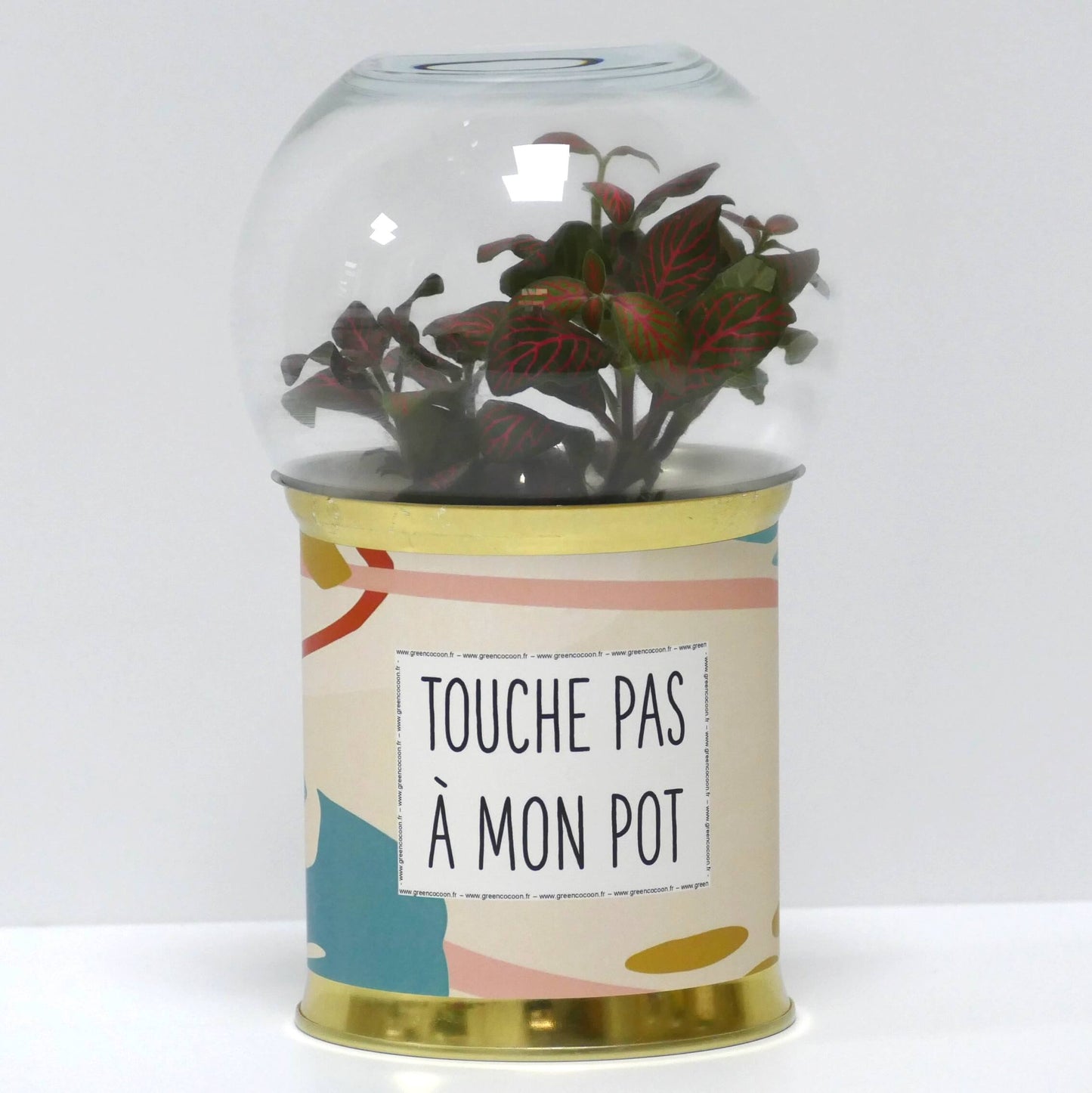 Terrarium Touche pas à mon pot