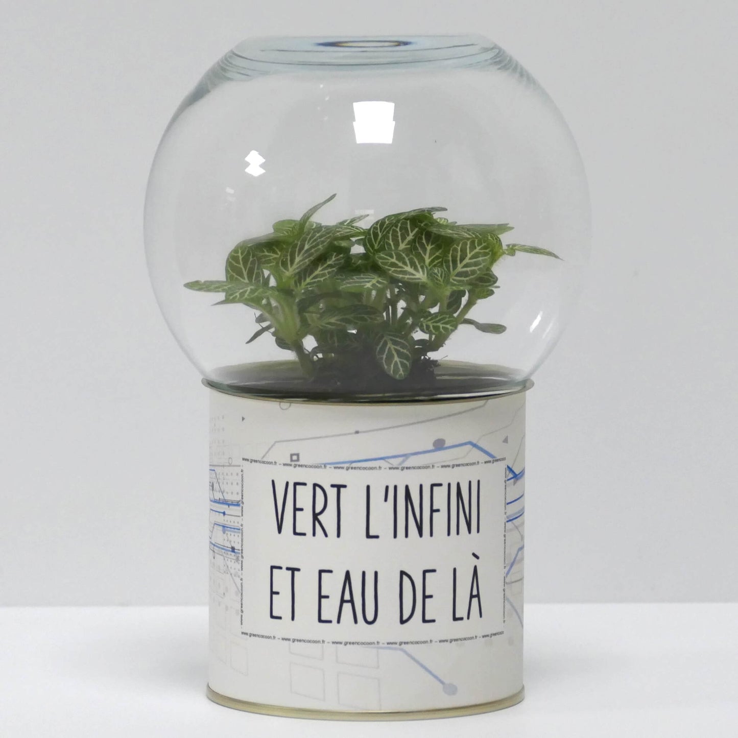 Terrarium Vert l'infini et eau de là