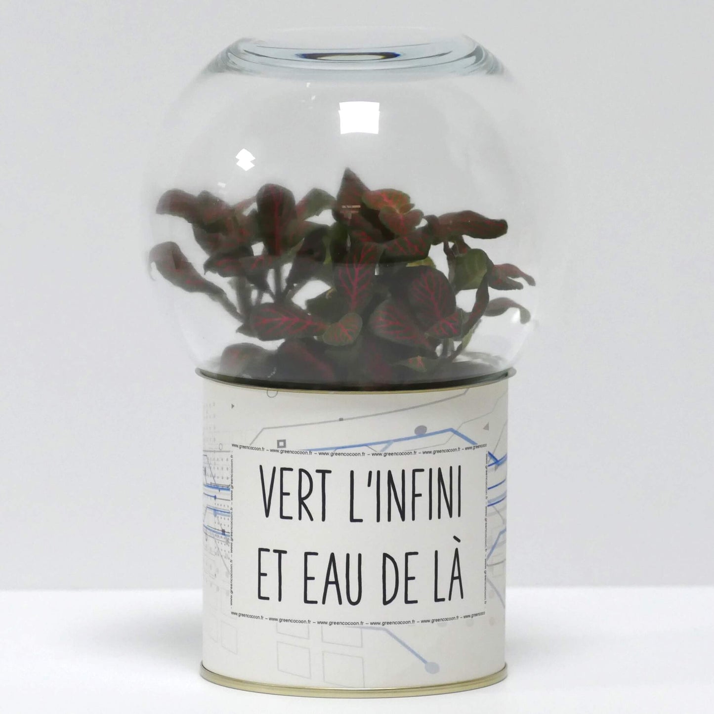 Terrarium Vert l'infini et eau de là