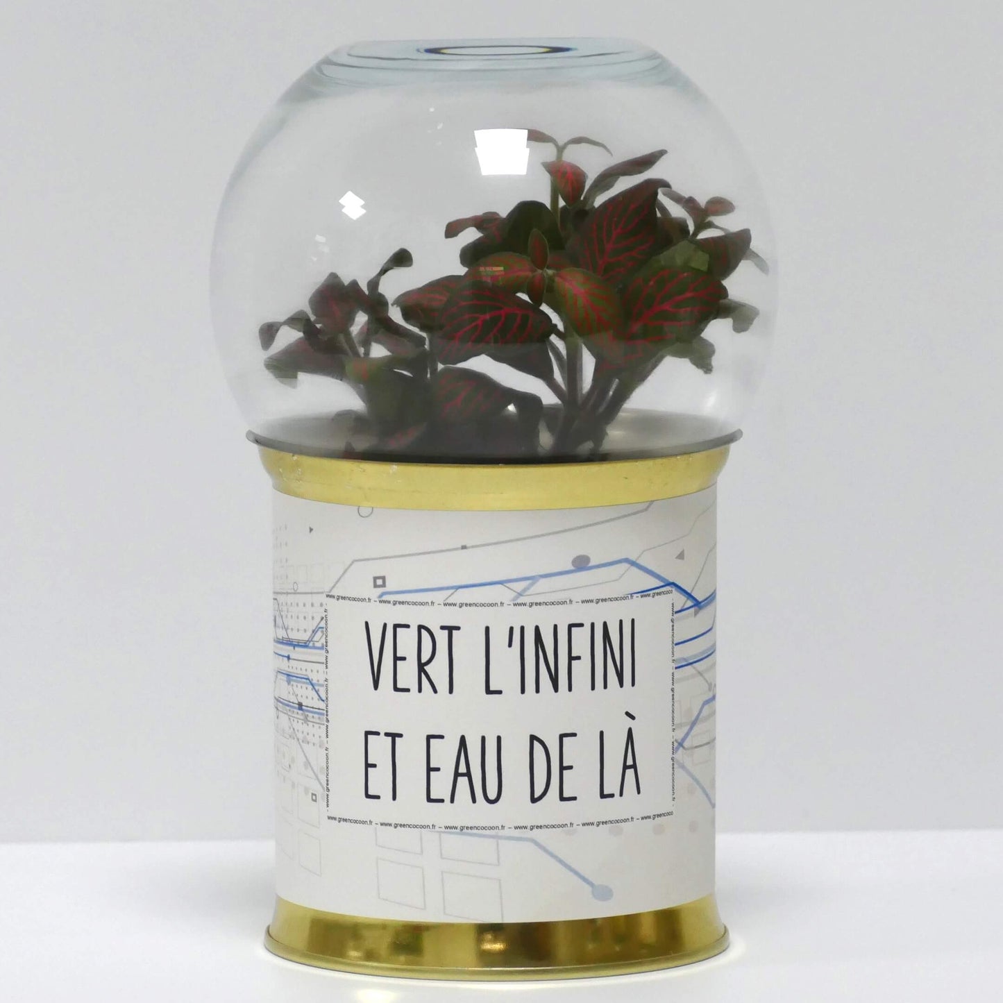 Terrarium Vert l'infini et eau de là