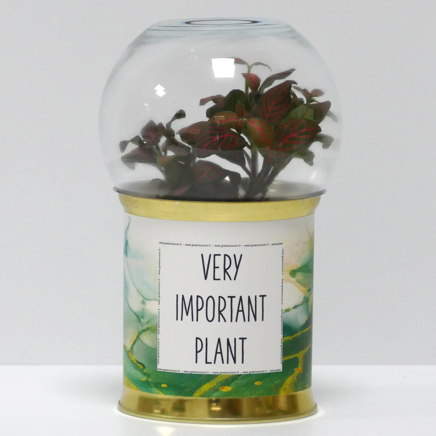 Terrarium Very Important Plant