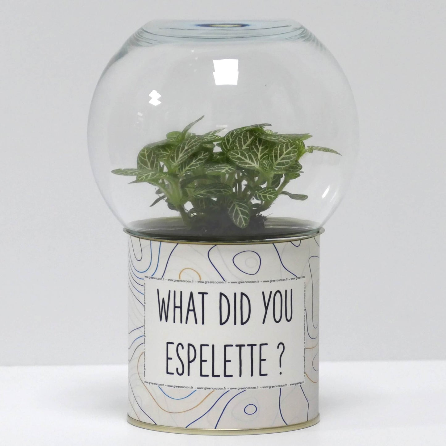 Terrarium What did you espelette ?