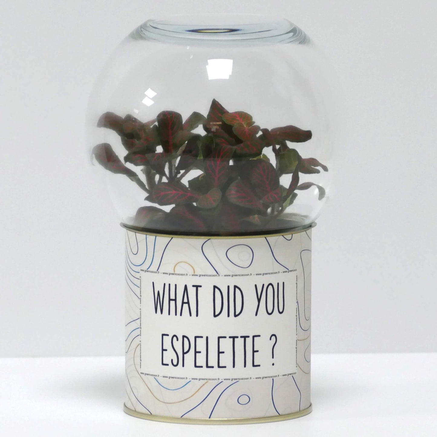 Terrarium What did you espelette ?