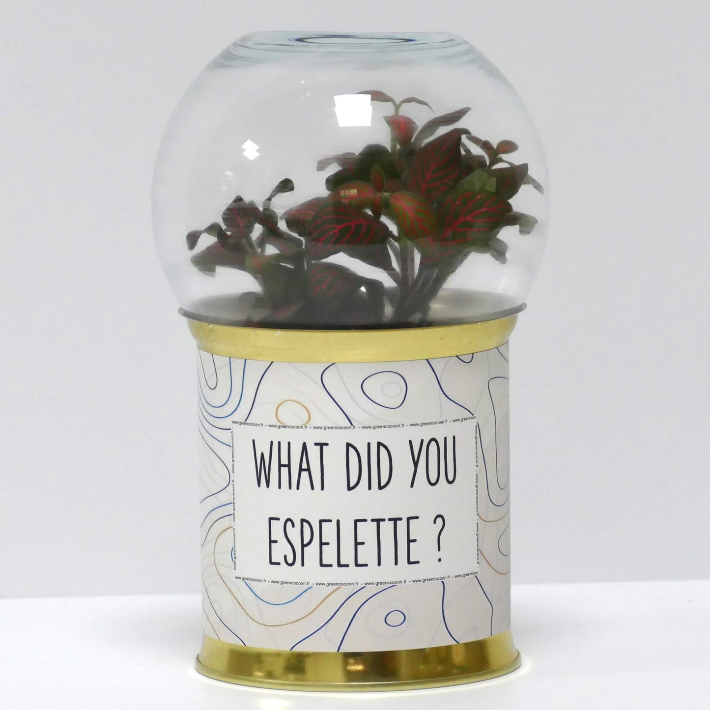 Terrarium What did you espelette ?