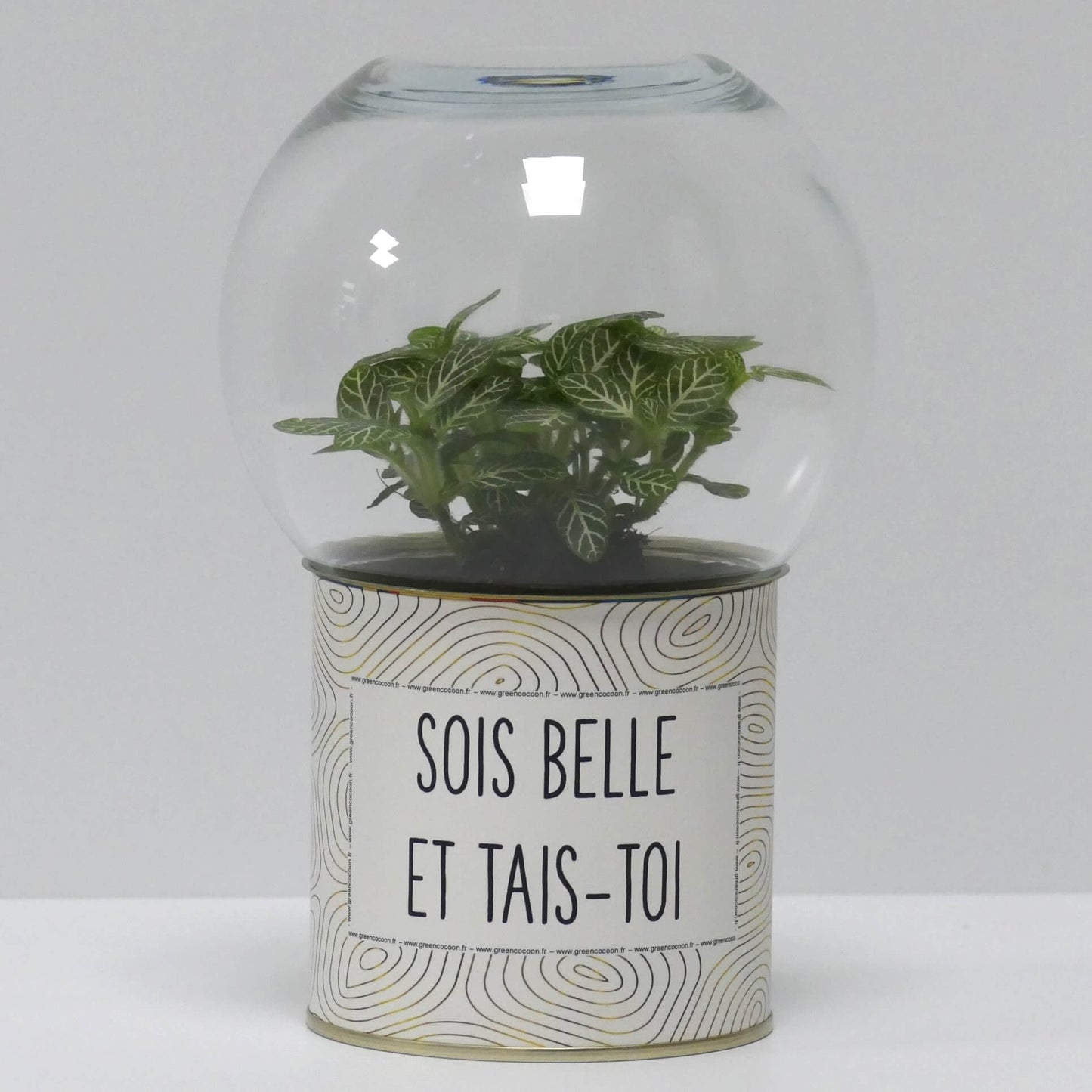 Terrarium Sois belle et tais-toi