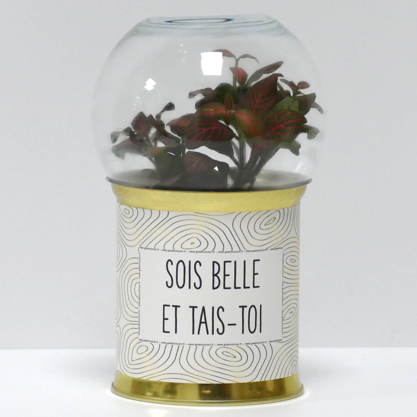 Terrarium Sois belle et tais-toi