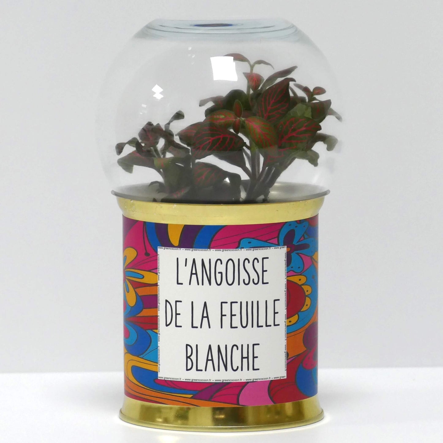 Terrarium L'angoisse de la feuille blanche