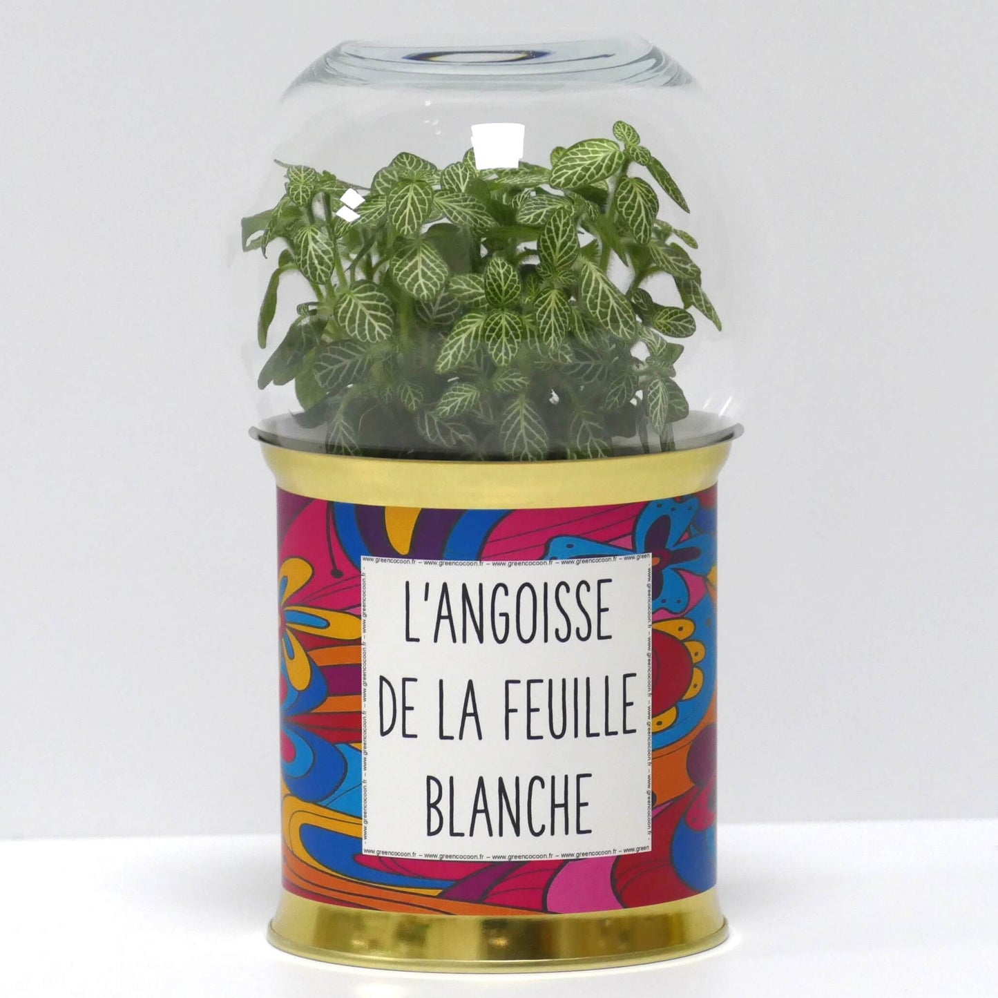 Terrarium L'angoisse de la feuille blanche