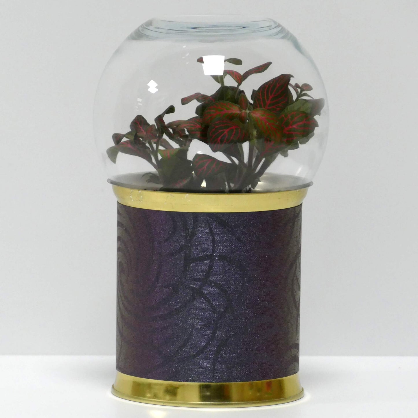 Terrarium motifs violets