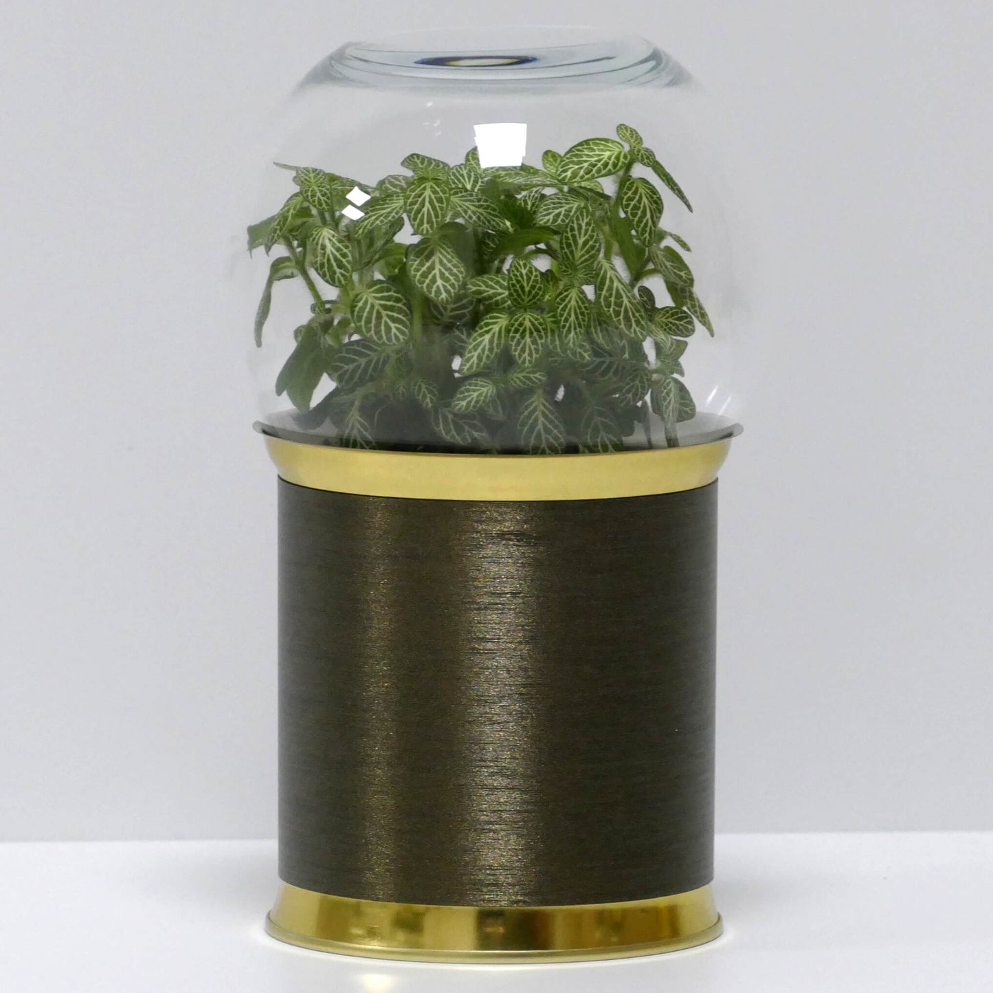 Terrarium bronze brossé