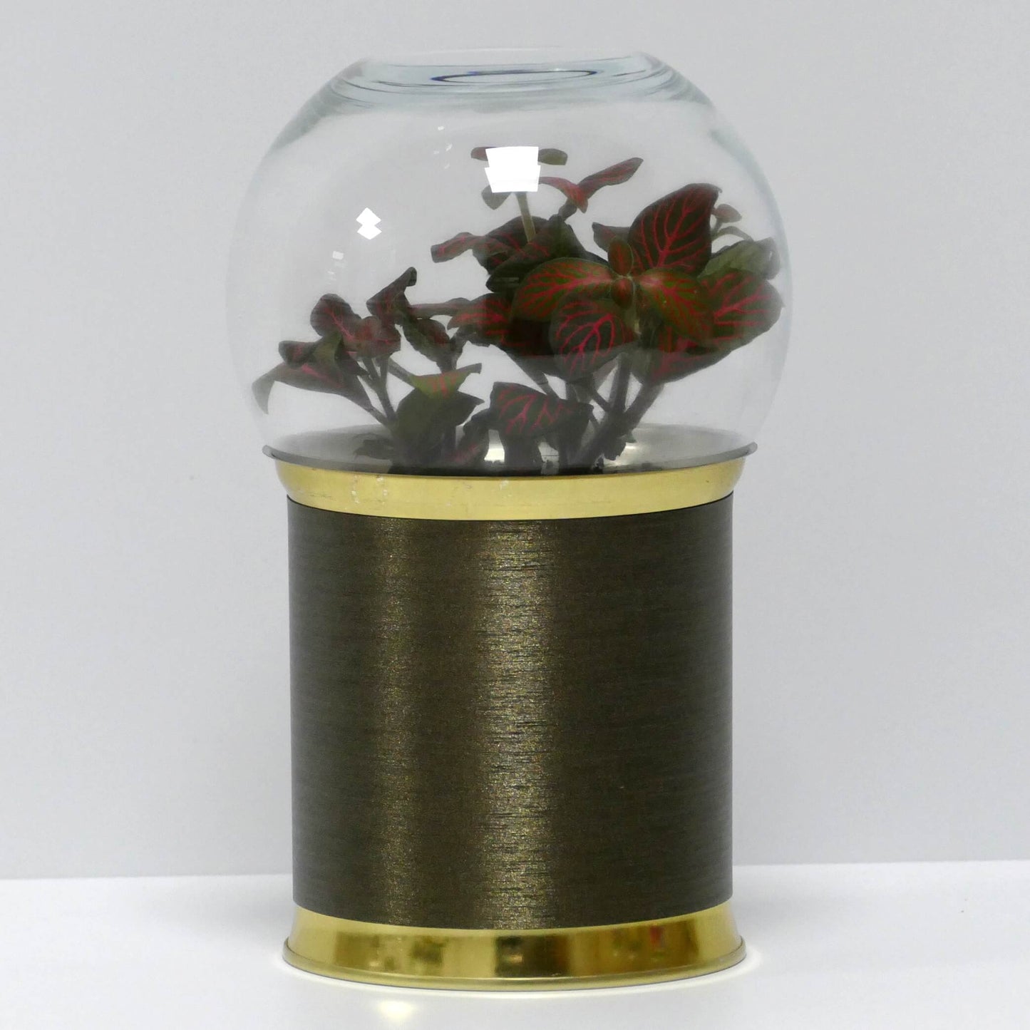 Terrarium bronze brossé