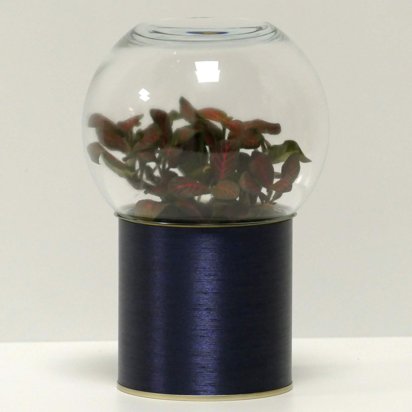 Terrarium métal bleu brossé