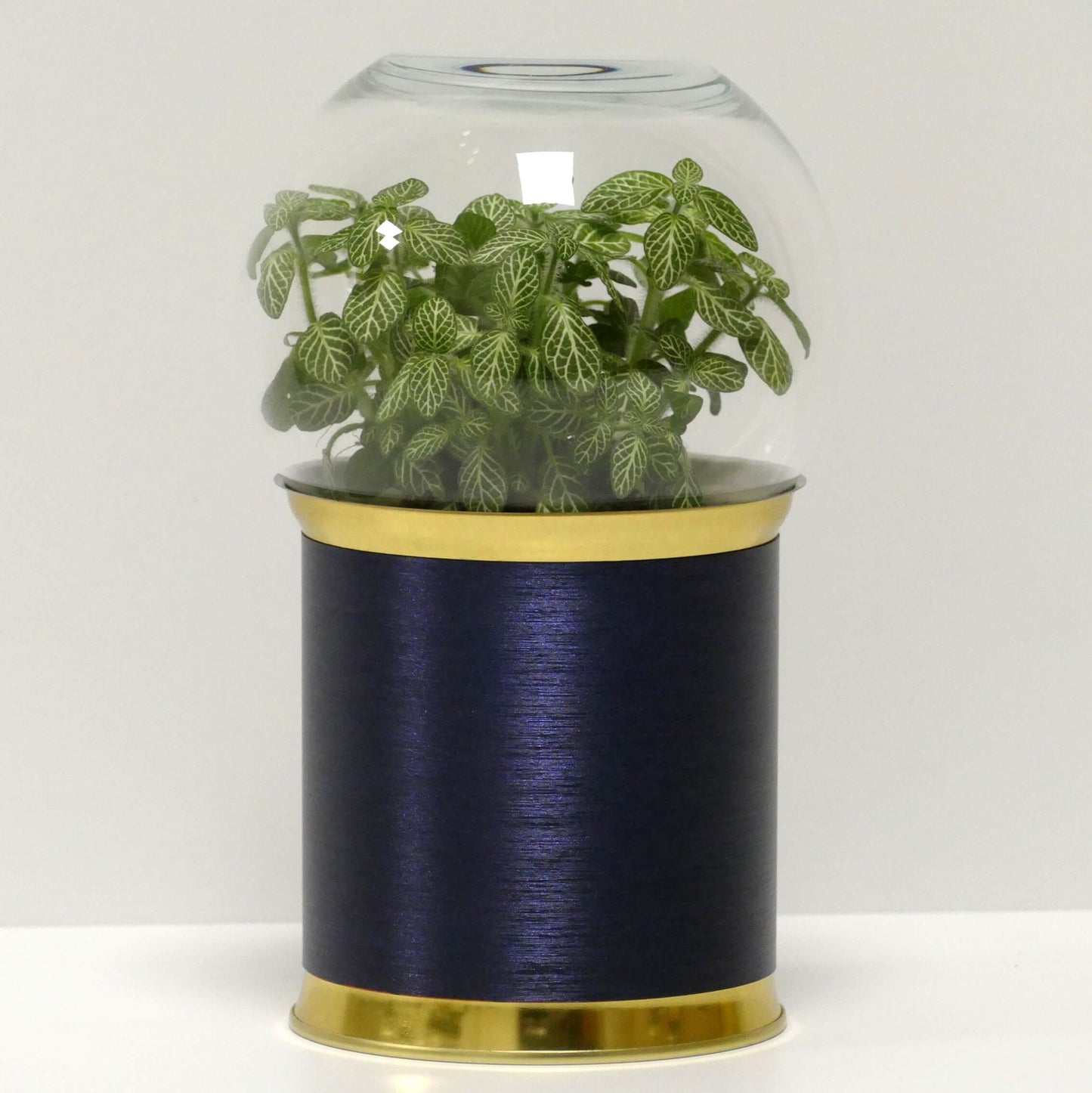Terrarium métal bleu brossé