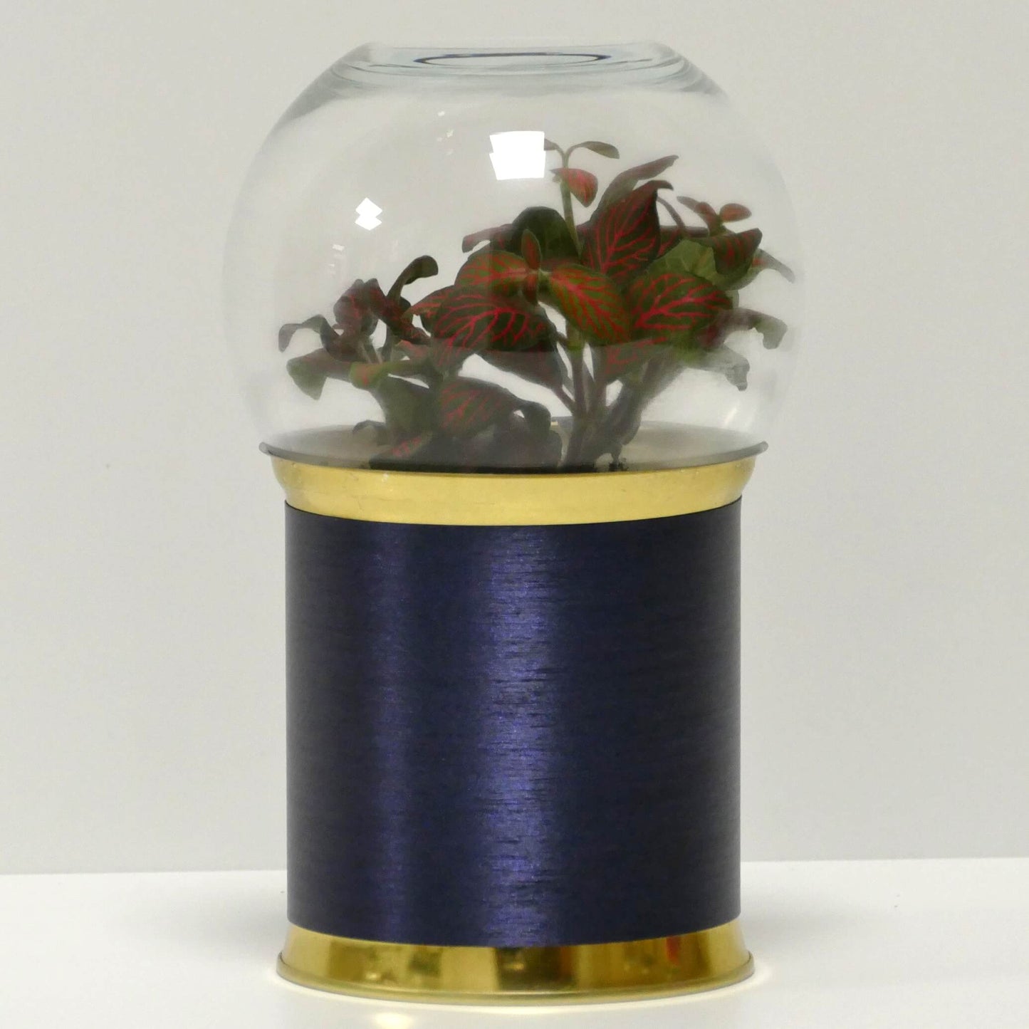 Terrarium métal bleu brossé