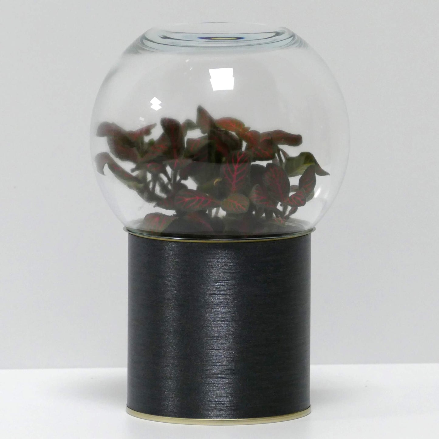 Terrarium acier brossé