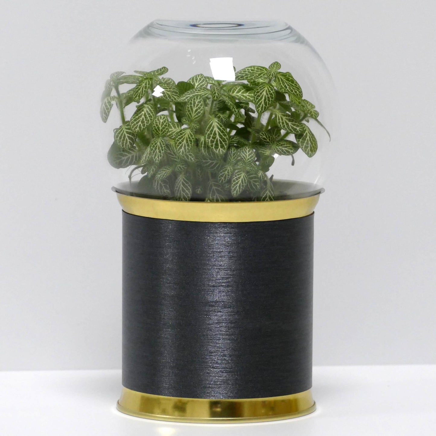 Terrarium acier brossé