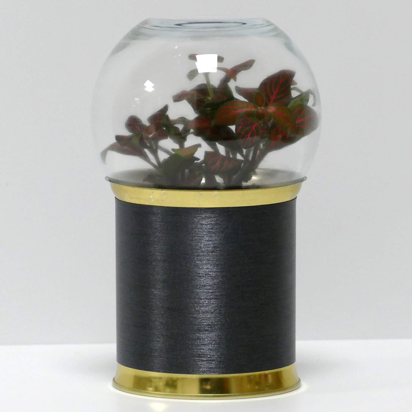 Terrarium acier brossé