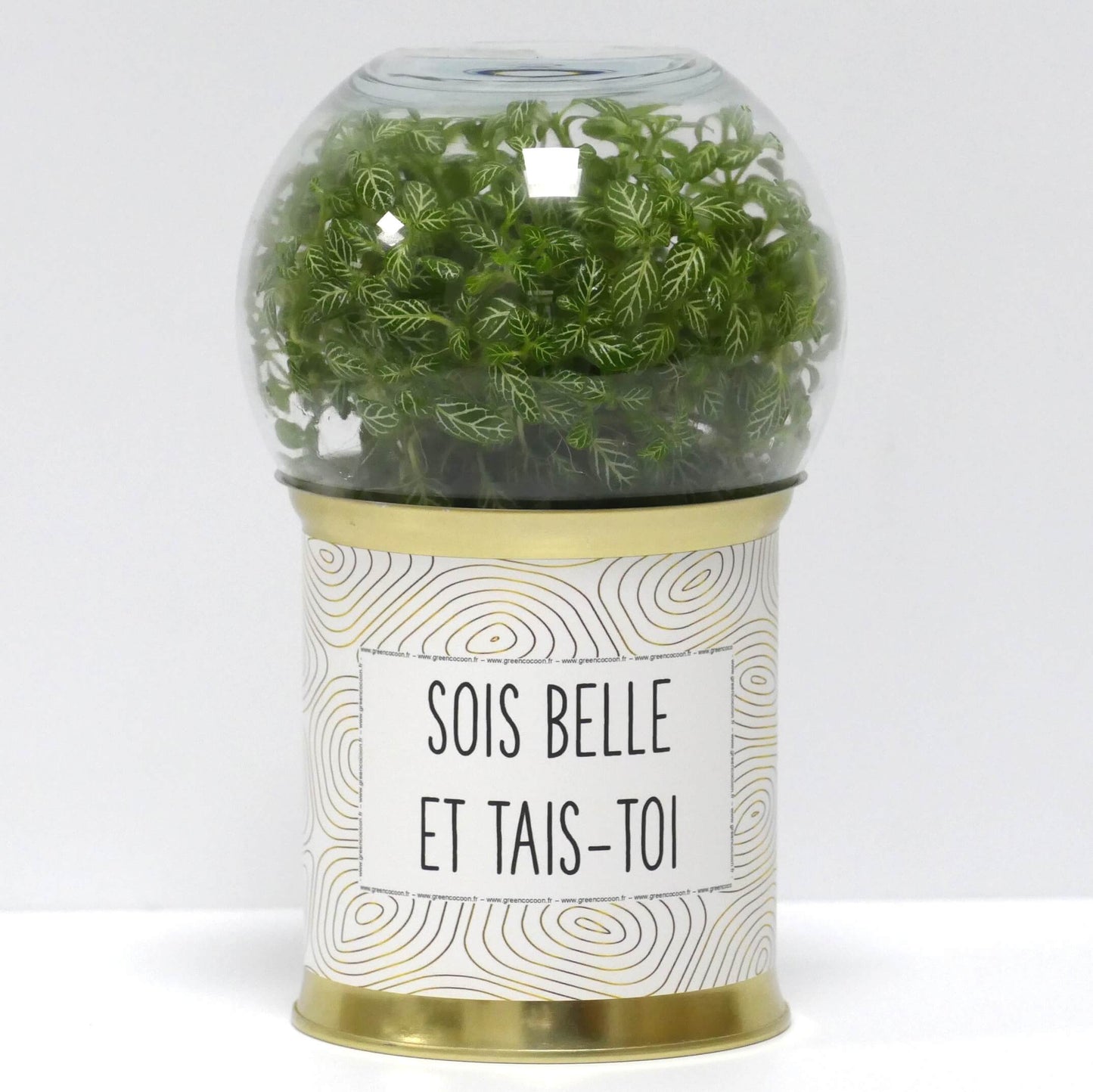 Terrarium Sois belle et tais-toi