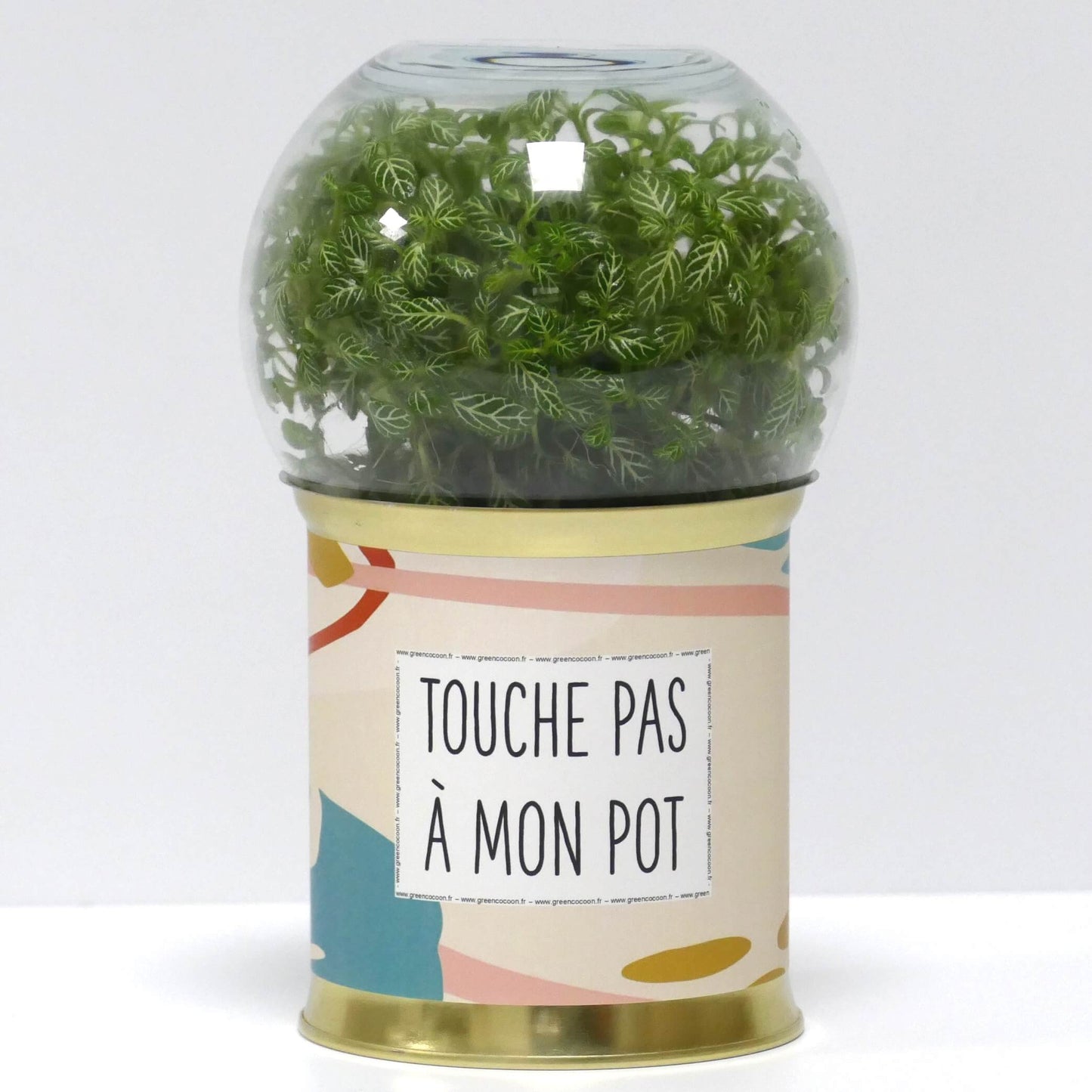 Terrarium Touche pas à mon pot